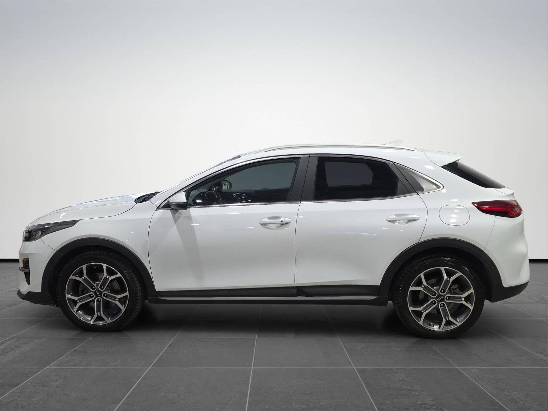 KIA XCeed Xceed 1.6 crdi mhev Style 136cv imt usata in pronta consegna - Brandini