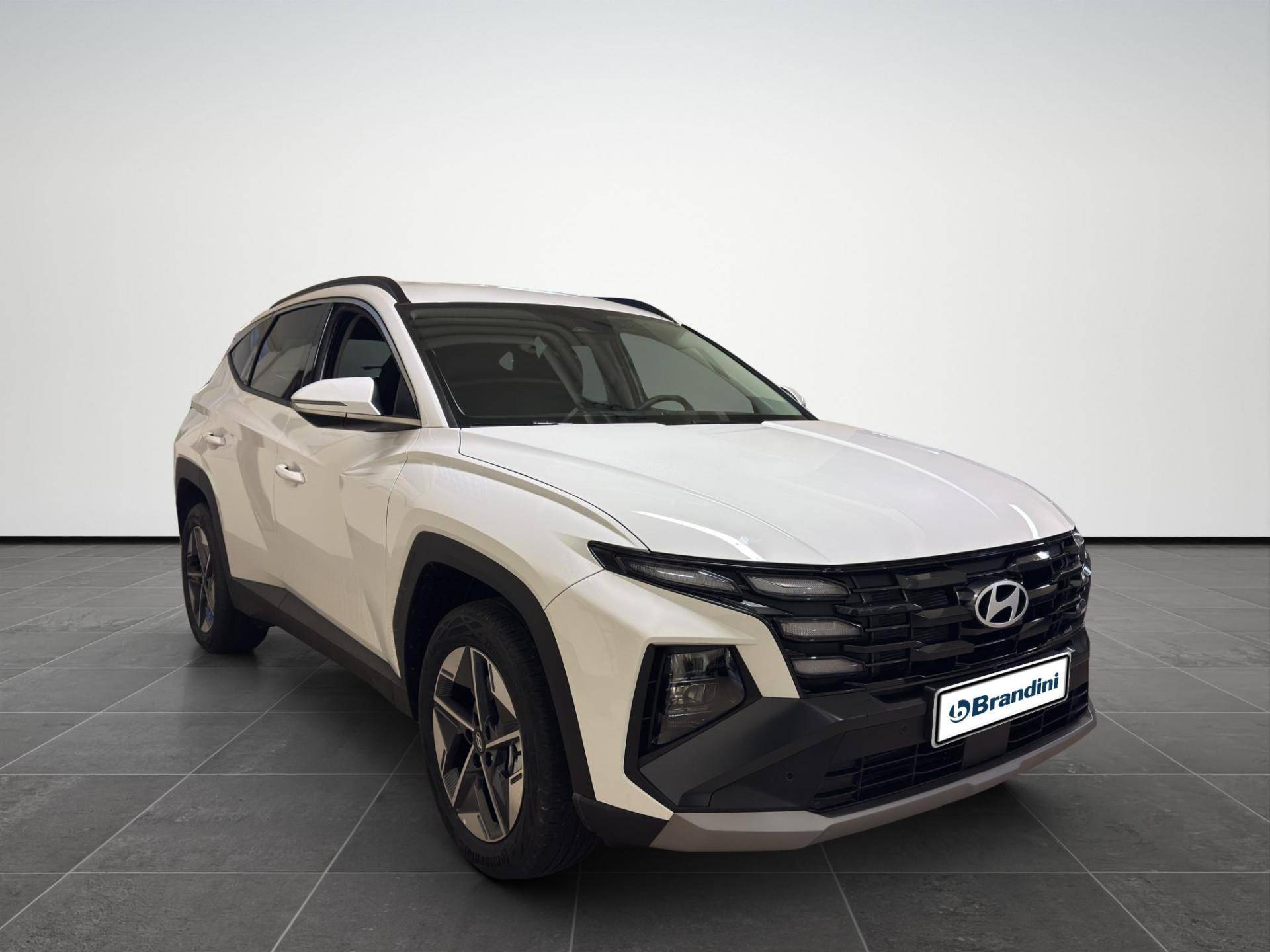 HYUNDAI Tucson Tucson 1.6 hev Business 2wd 239cv auto usata in pronta consegna - Brandini