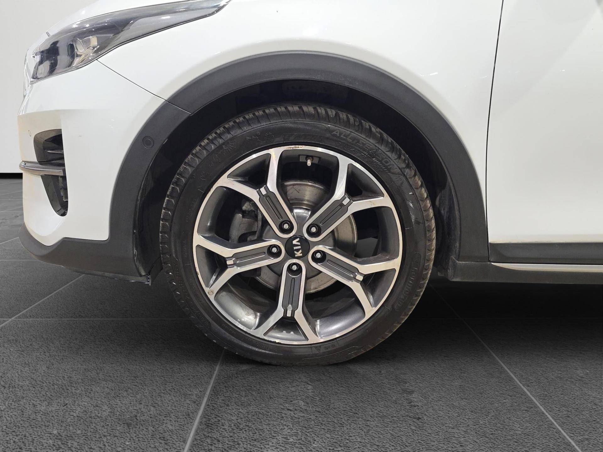 KIA XCeed Xceed 1.6 crdi mhev Style 136cv imt usata in pronta consegna - Brandini