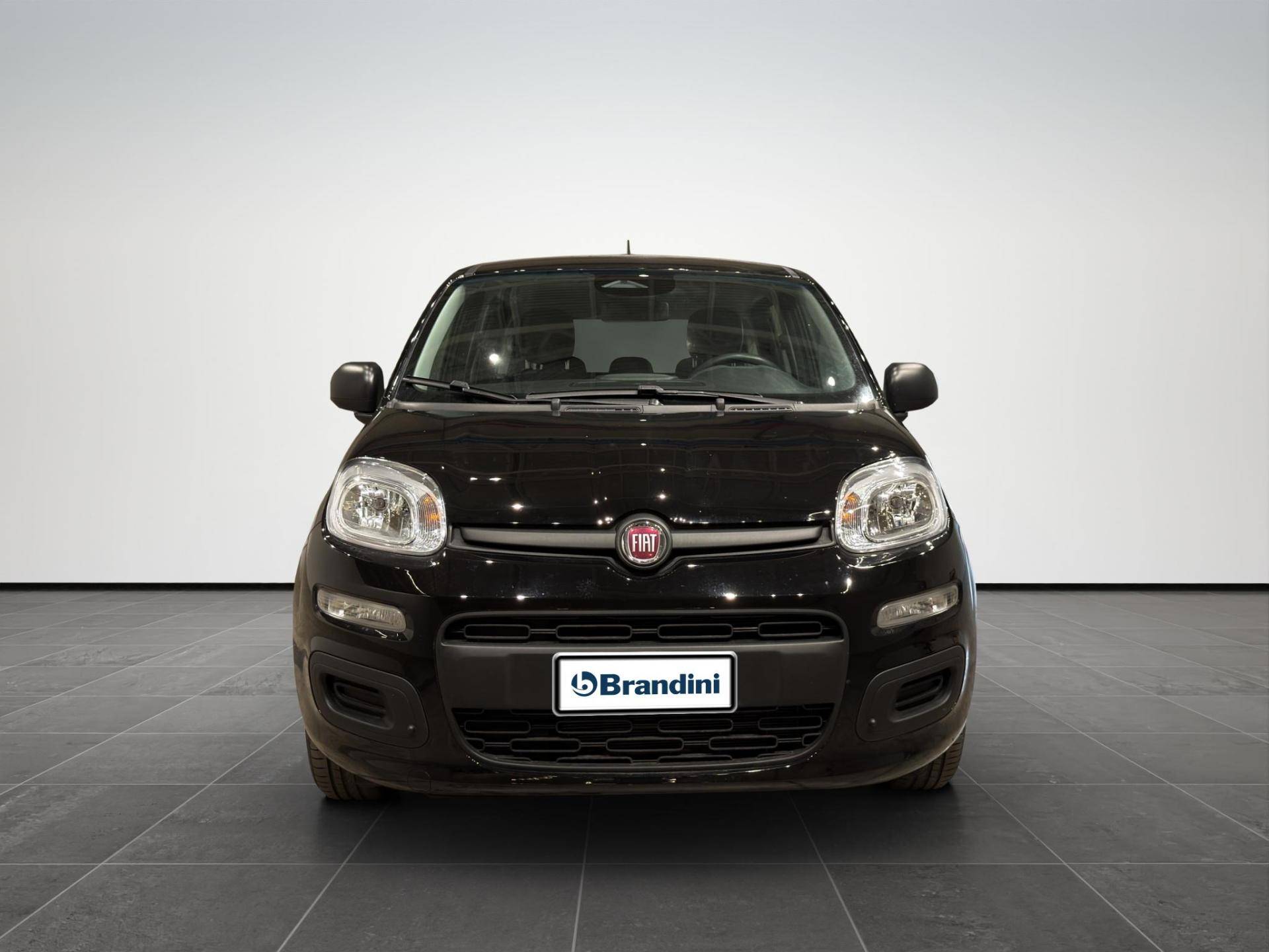 FIAT Panda Panda 1.0 firefly hybrid Icon s&s 70cv 5p.ti usata in pronta consegna - Brandini