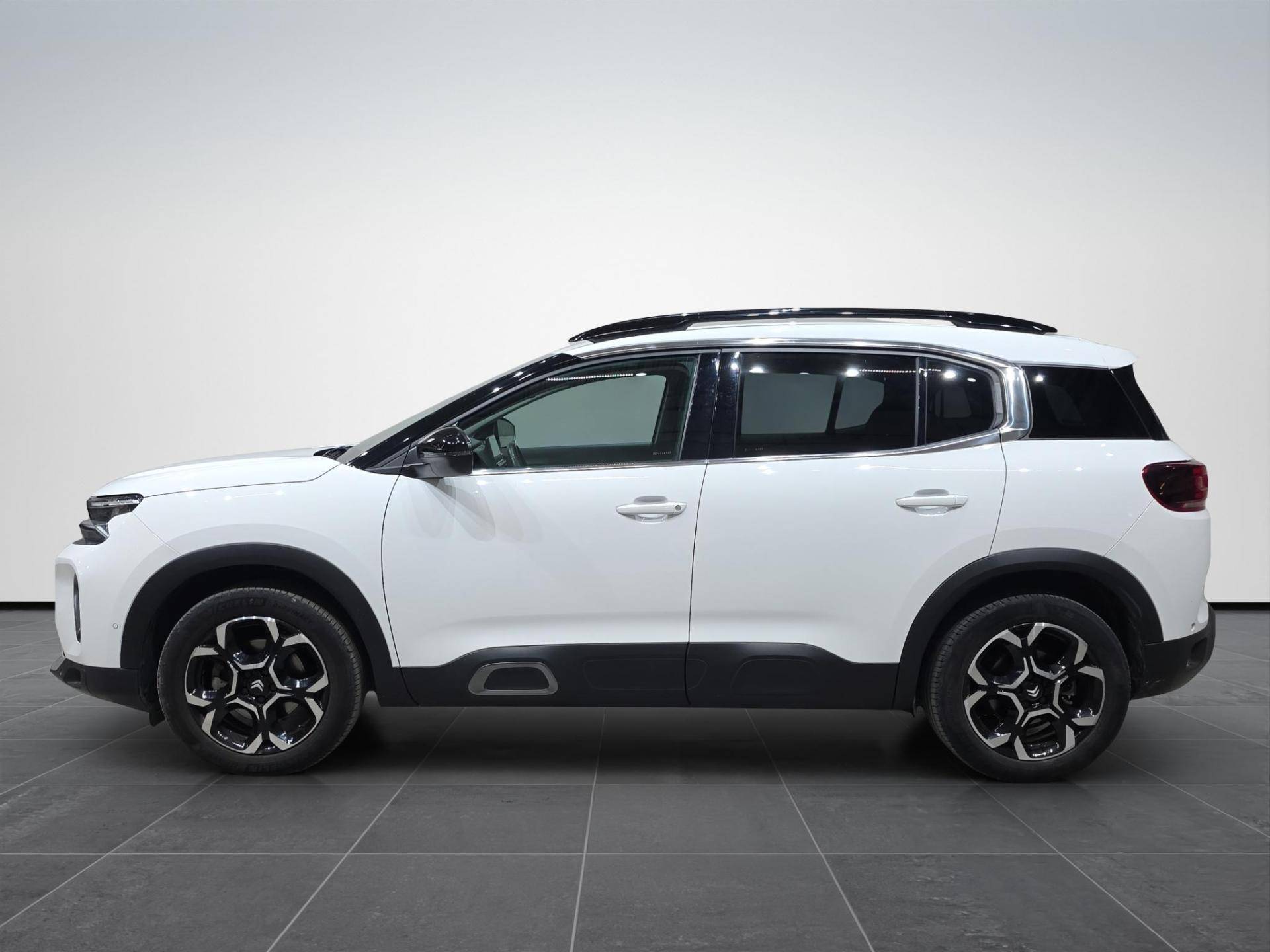 CITROEN C5 Aircross C5 Aircross 1.5 bluehdi Shine Pack s&s 130cv eat8 usata in pronta consegna - Brandini