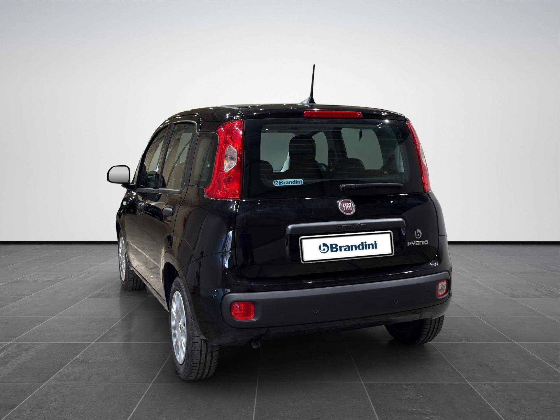FIAT Panda Panda 1.0 firefly hybrid Icon s&s 70cv 5p.ti usata in pronta consegna - Brandini