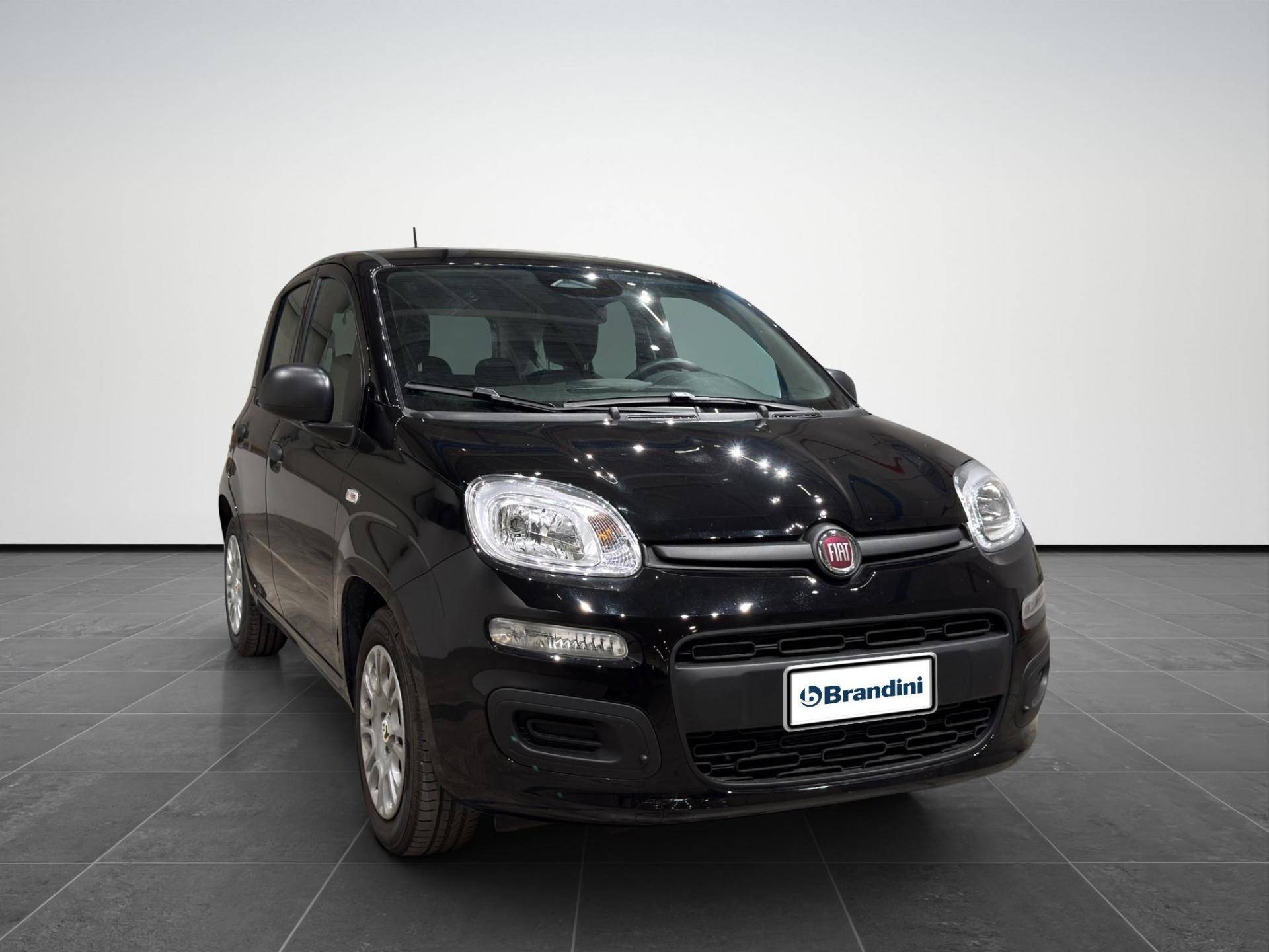 FIAT Panda Panda 1.0 firefly hybrid Icon s&s 70cv 5p.ti usata in pronta consegna - Brandini