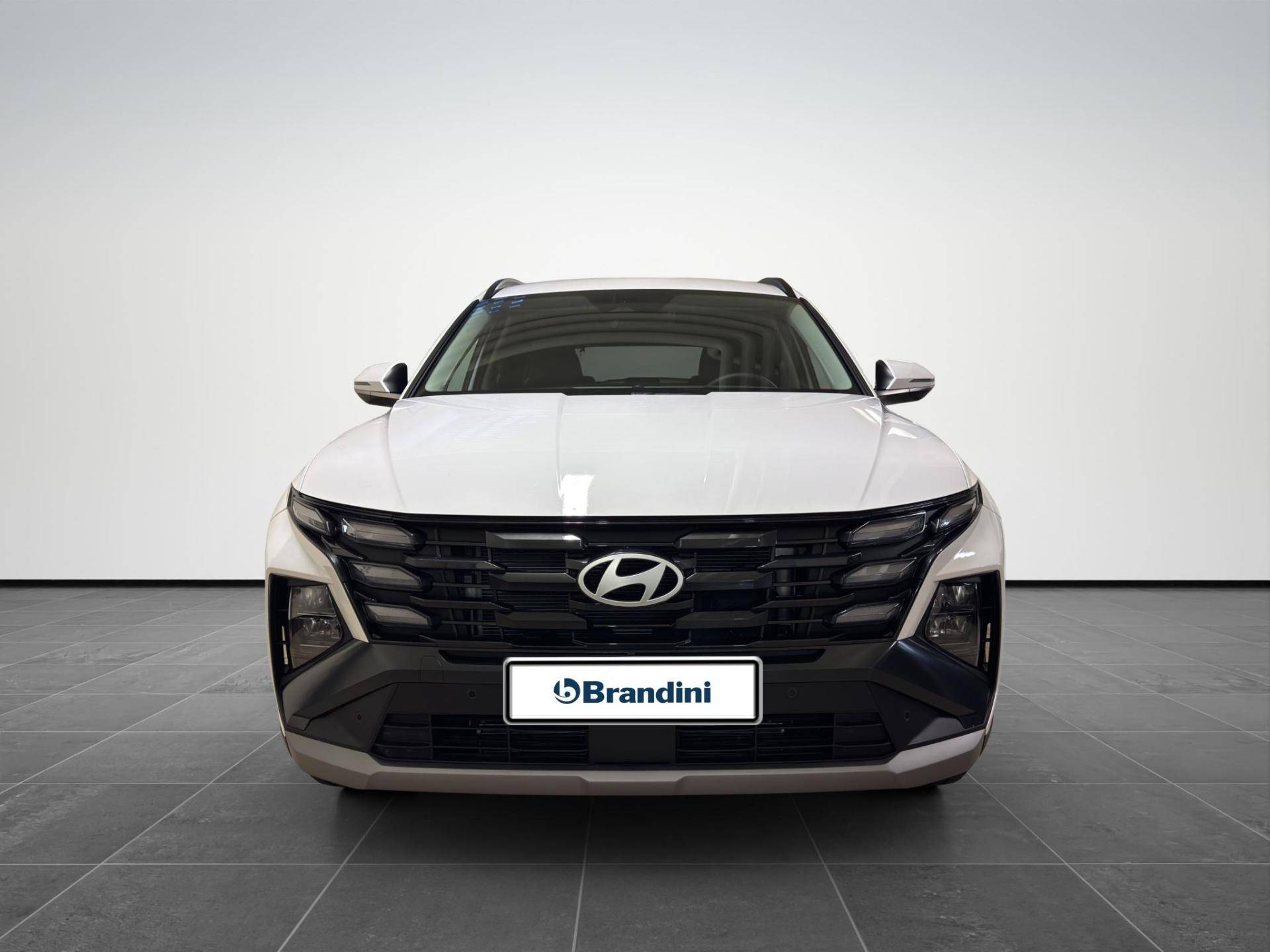 HYUNDAI Tucson Tucson 1.6 hev Business 2wd 239cv auto usata in pronta consegna - Brandini
