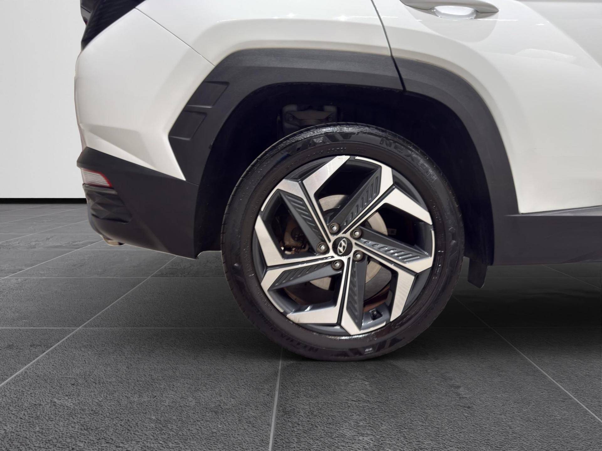 HYUNDAI Tucson Tucson 1.6 hev Exellence 4wd auto usata in pronta consegna - Brandini