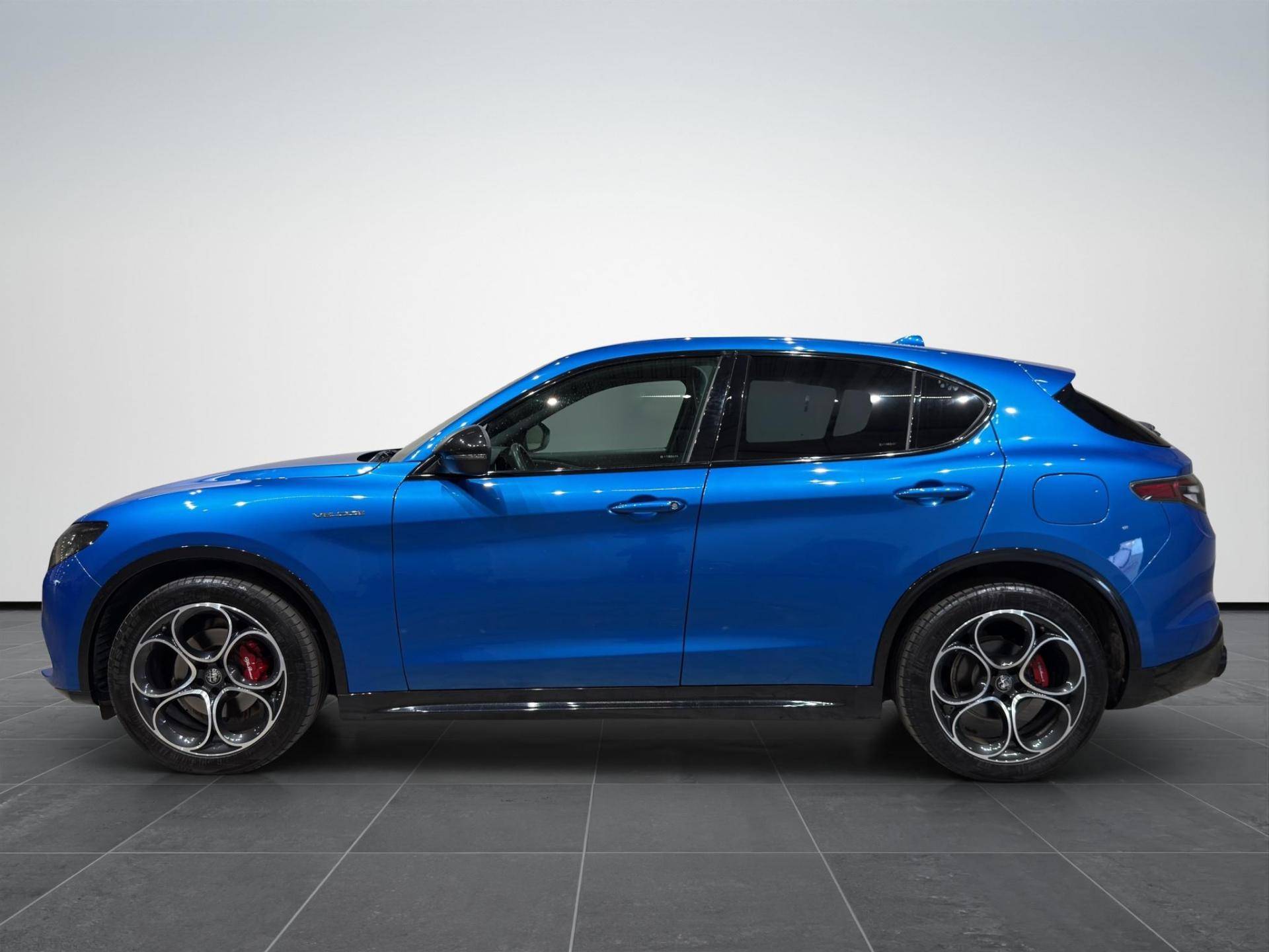 ALFA ROMEO Stelvio Stelvio 2.2 t Competizione Q4 210cv auto usata in pronta consegna - Brandini