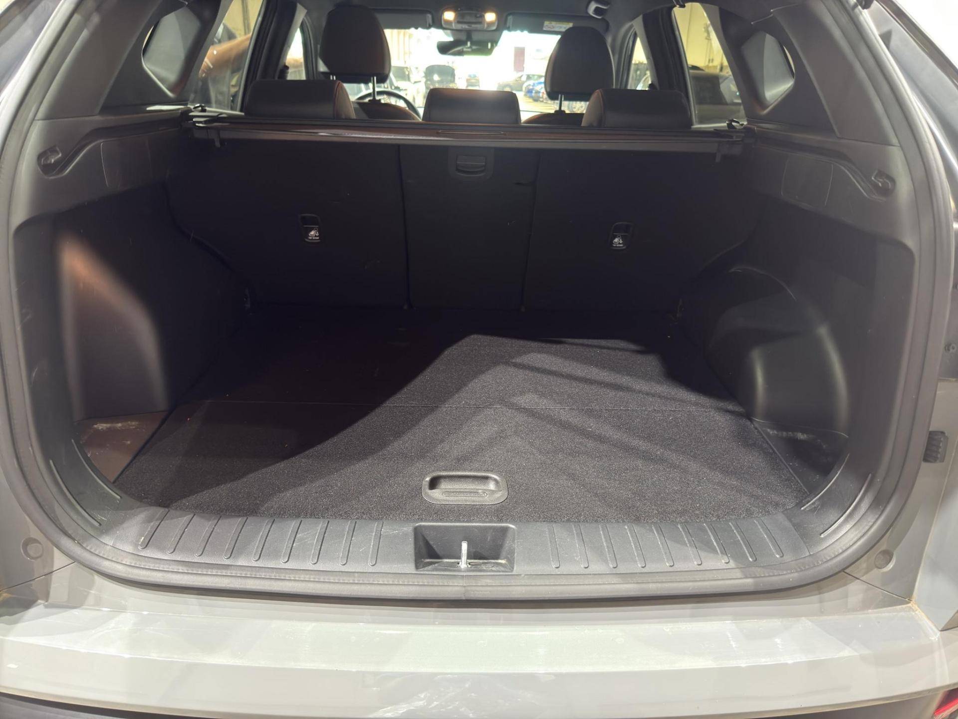 HYUNDAI Tucson Tucson 1.6 hev NLine Hyundai Smart Sense+ Advanced 2wd auto usata in pronta consegna - Brandini