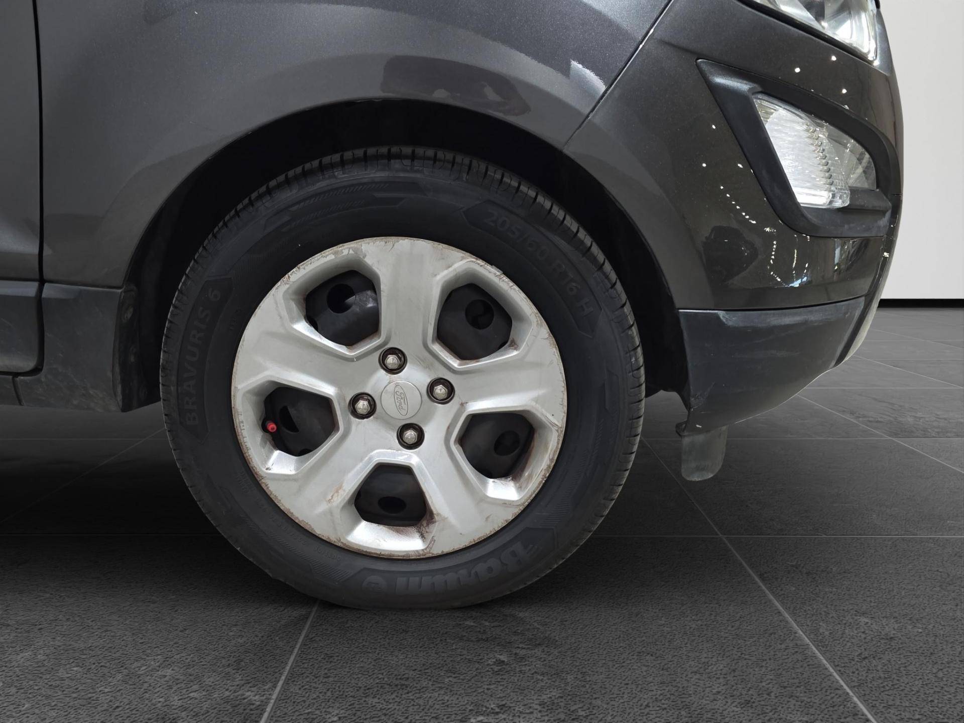 FORD EcoSport EcoSport 1.5 ecoblue Plus s&s 100cv my19 usata in pronta consegna - Brandini