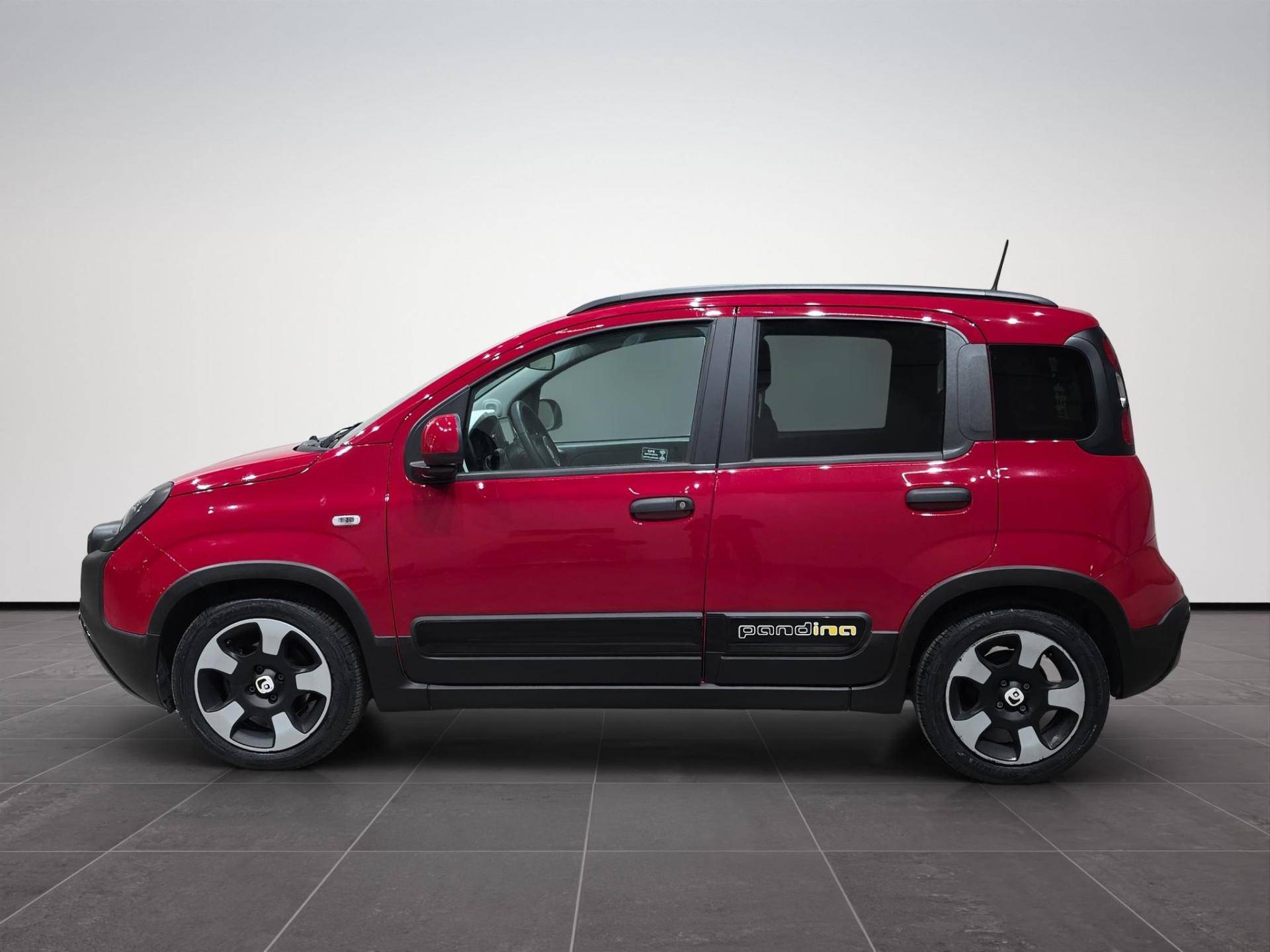 FIAT Panda Pandina 1.0 firefly hybrid s&s 70cv usata in pronta consegna - Brandini