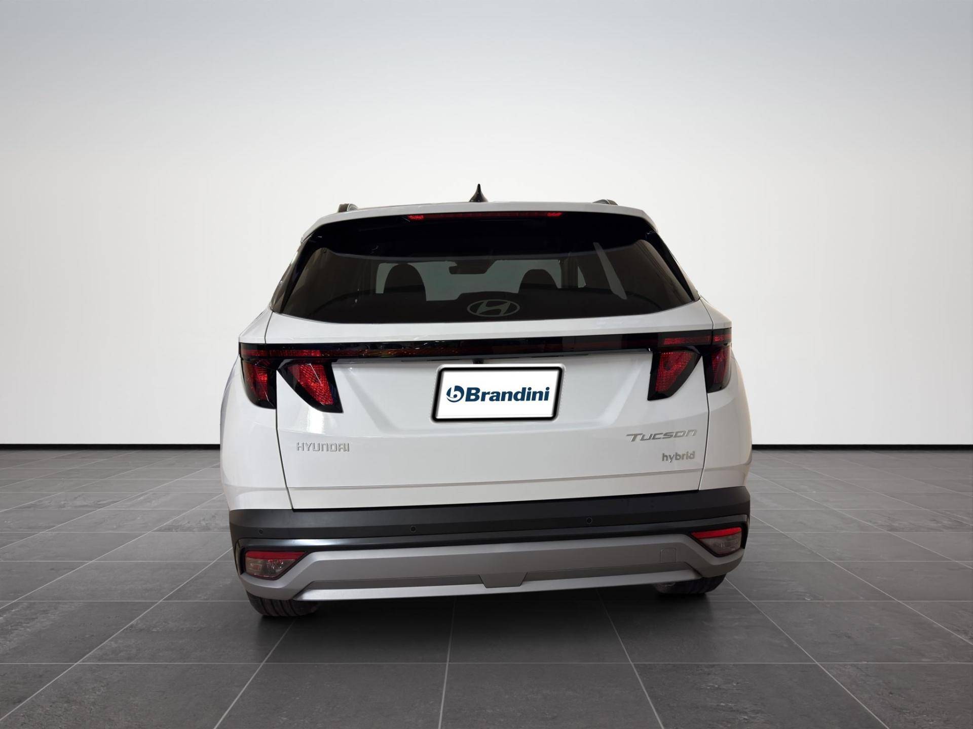 HYUNDAI Tucson Tucson 1.6 hev Business 2wd 239cv auto usata in pronta consegna - Brandini