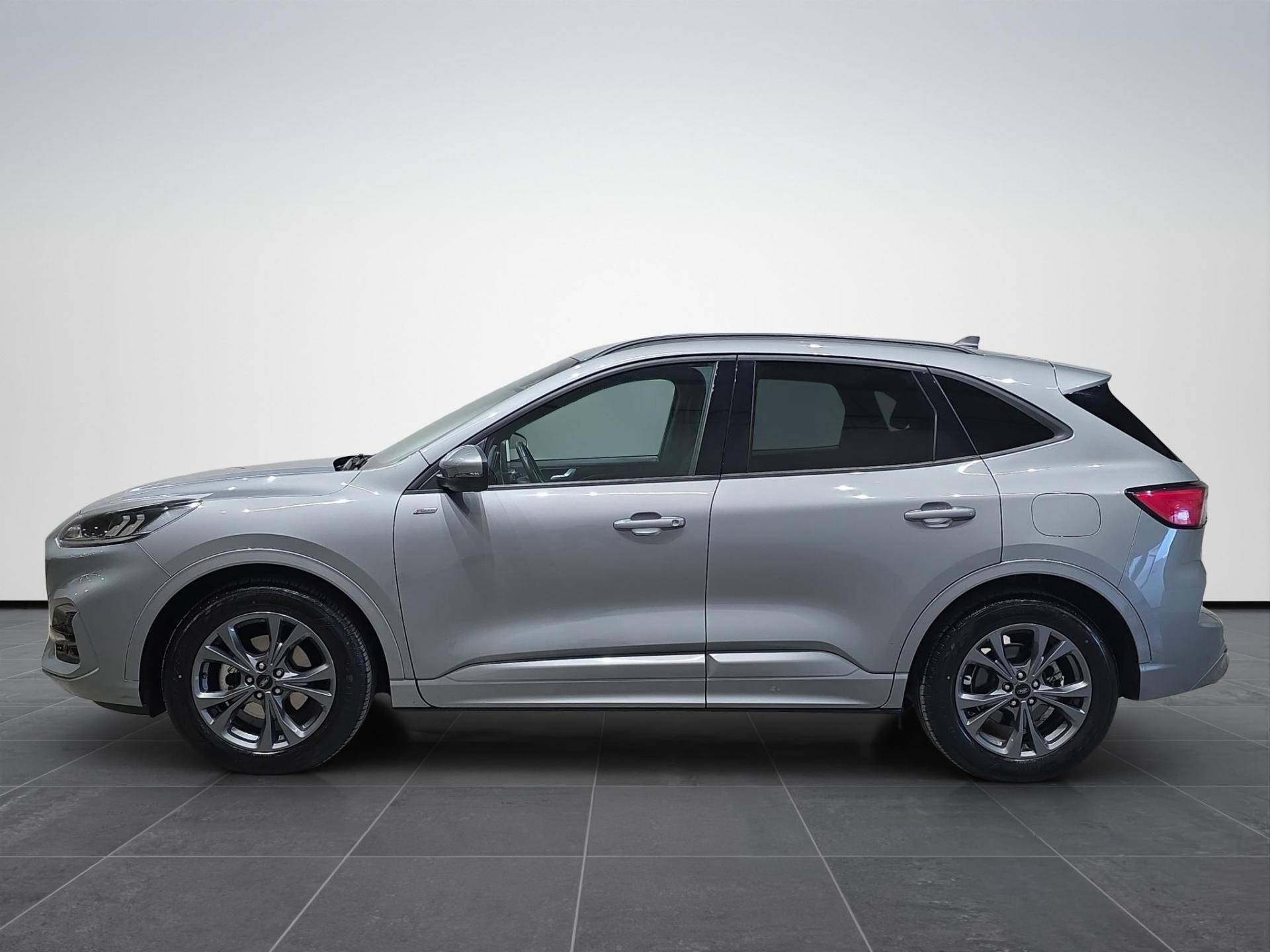 FORD Kuga Kuga 2.5 full hybrid ST-Line X Design 2wd 190cv cvt usata in pronta consegna - Brandini
