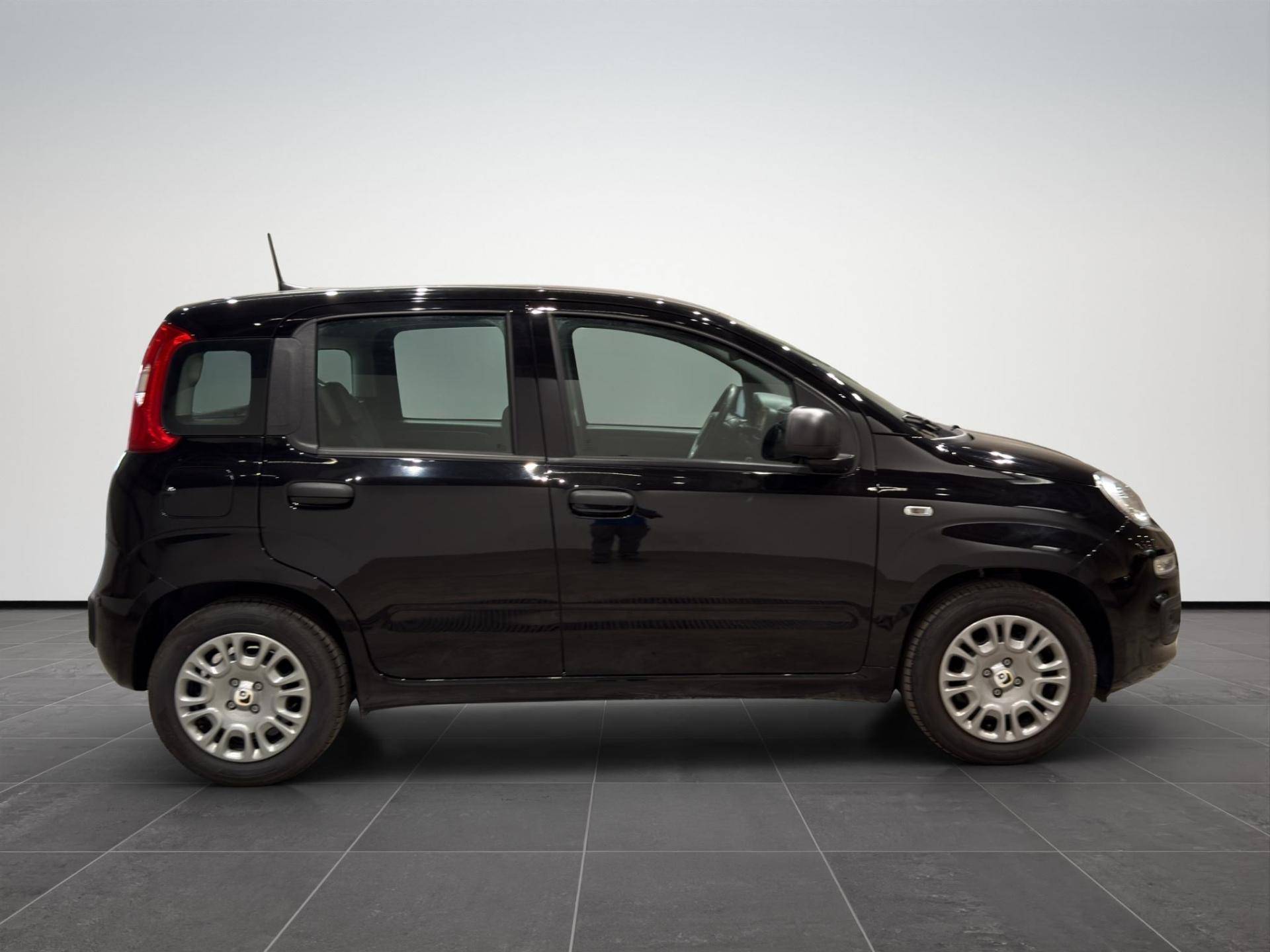 FIAT Panda Panda 1.0 firefly hybrid Icon s&s 70cv 5p.ti usata in pronta consegna - Brandini