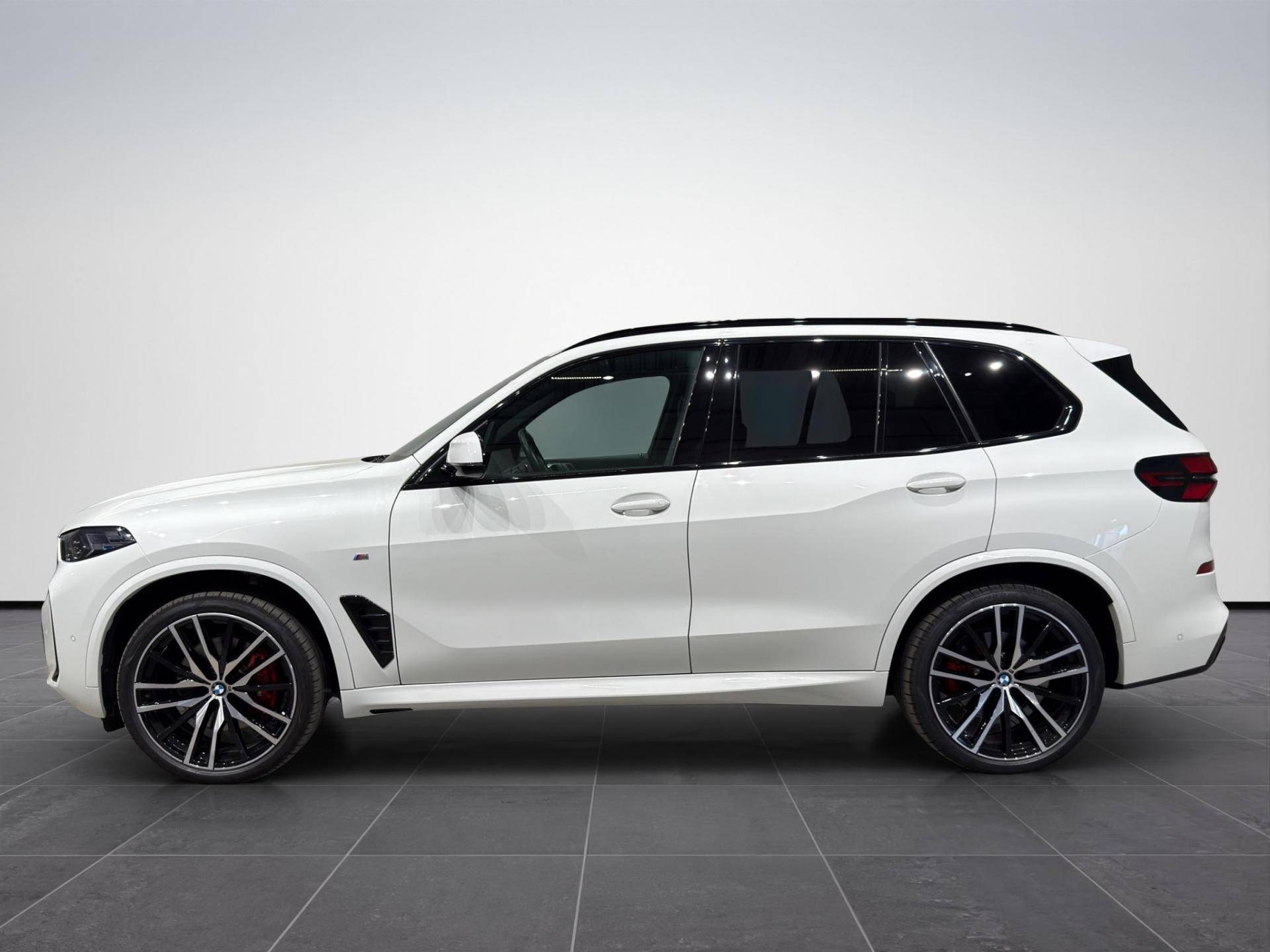BMW X5 X5 xdrive30d Msport auto usata in pronta consegna - Brandini