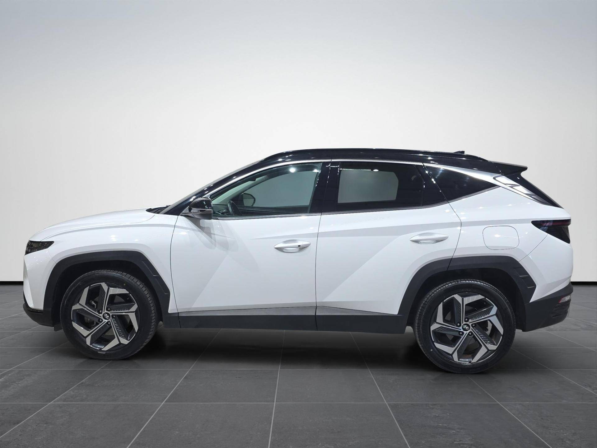 Auto Venduta - HYUNDAI Tucson Tucson 1.6 hev Xline 2wd auto usata in pronta consegna - Brandini