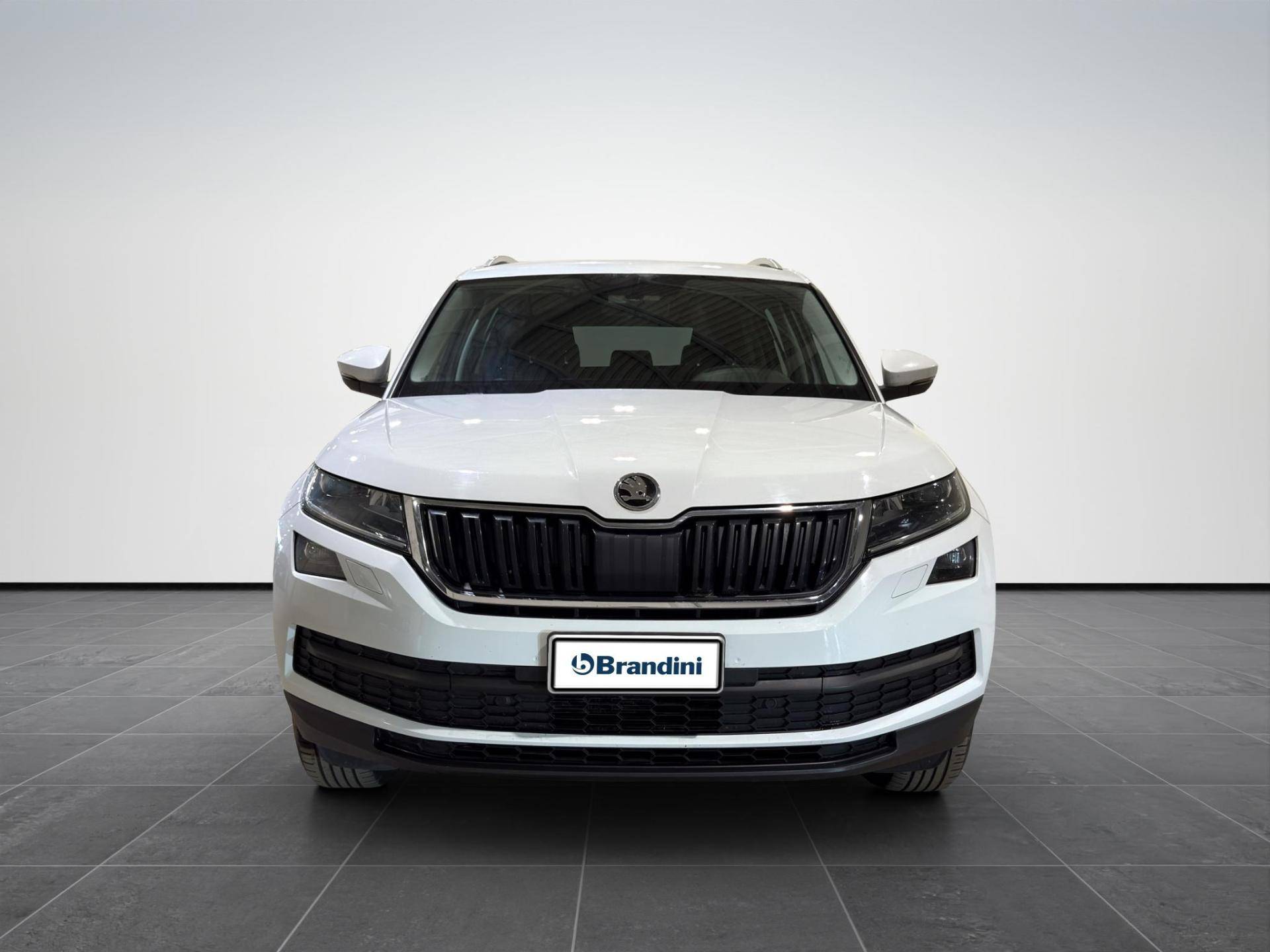SKODA Kodiaq Kodiaq 2.0 tdi Style 4x4 dsg usata in pronta consegna - Brandini