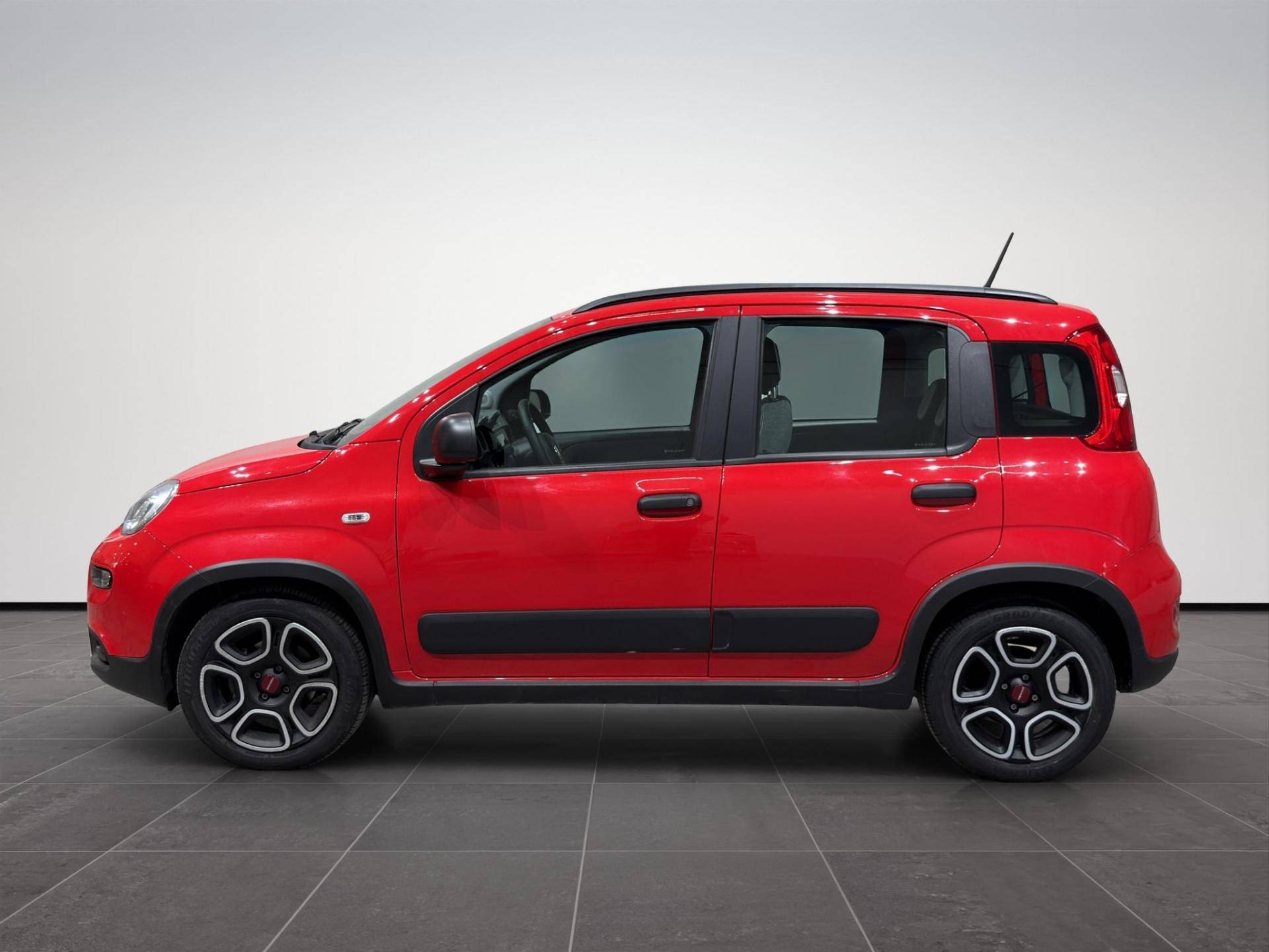 Auto Venduta - FIAT Panda Panda 1.0 hybrid City Life s&s 70cv 5p.ti usata in pronta consegna - Brandini