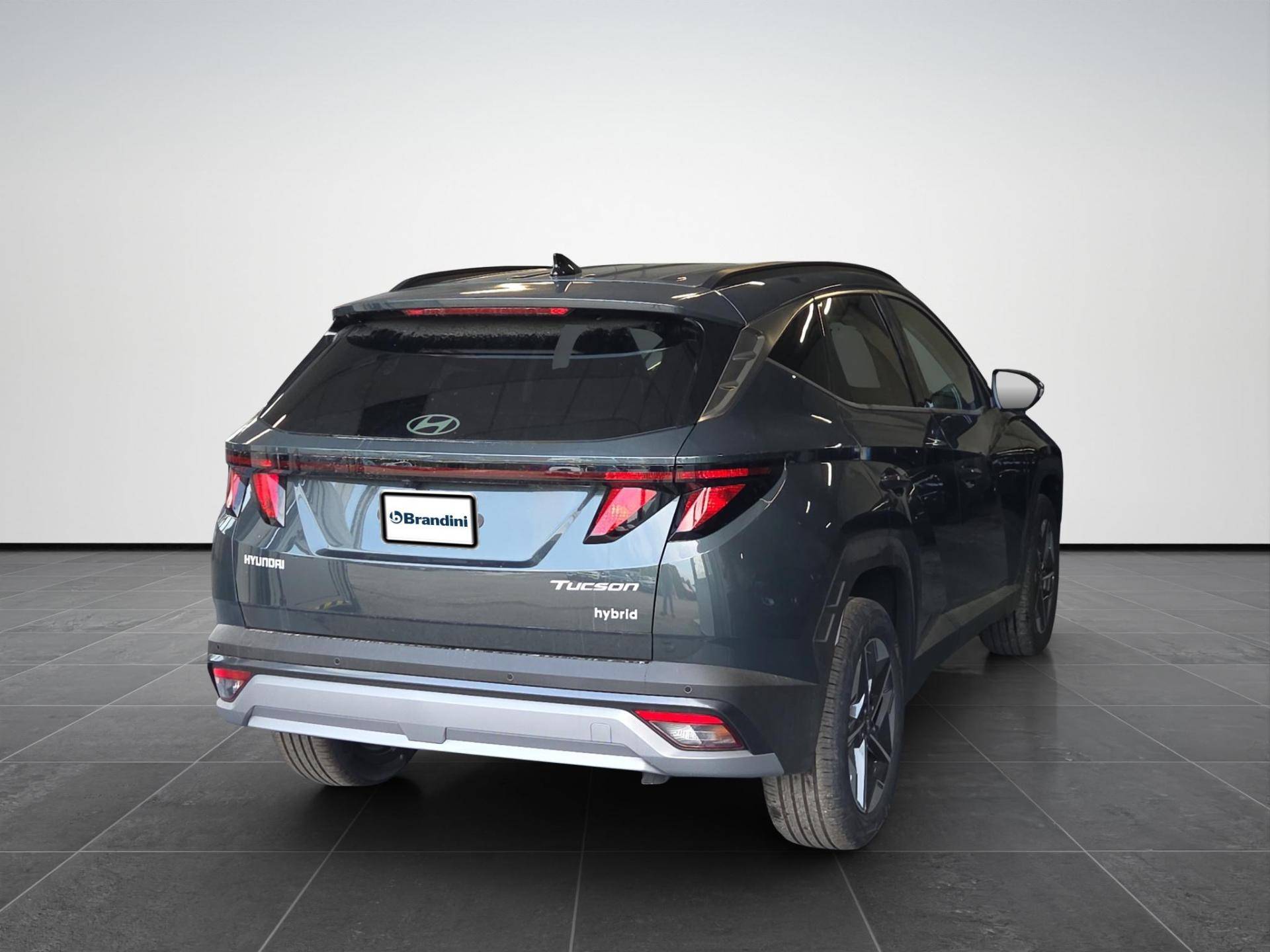 HYUNDAI Tucson Tucson 1.6 hev Business 2wd 239cv auto usata in pronta consegna - Brandini