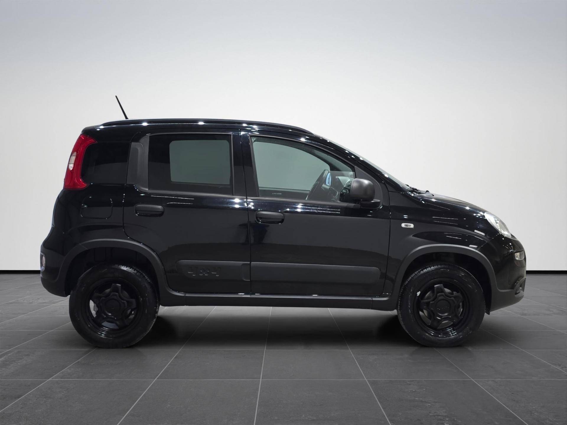 Auto Venduta - FIAT Panda Panda 0.9 t.air t. Wild 4x4 s&s 85cv usata in pronta consegna - Brandini