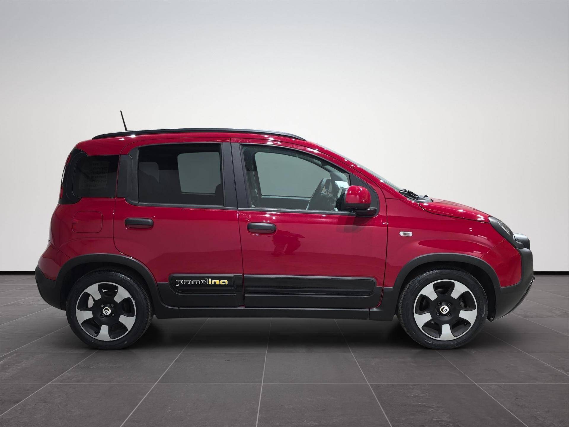 FIAT Panda Pandina 1.0 firefly hybrid s&s 70cv usata in pronta consegna - Brandini