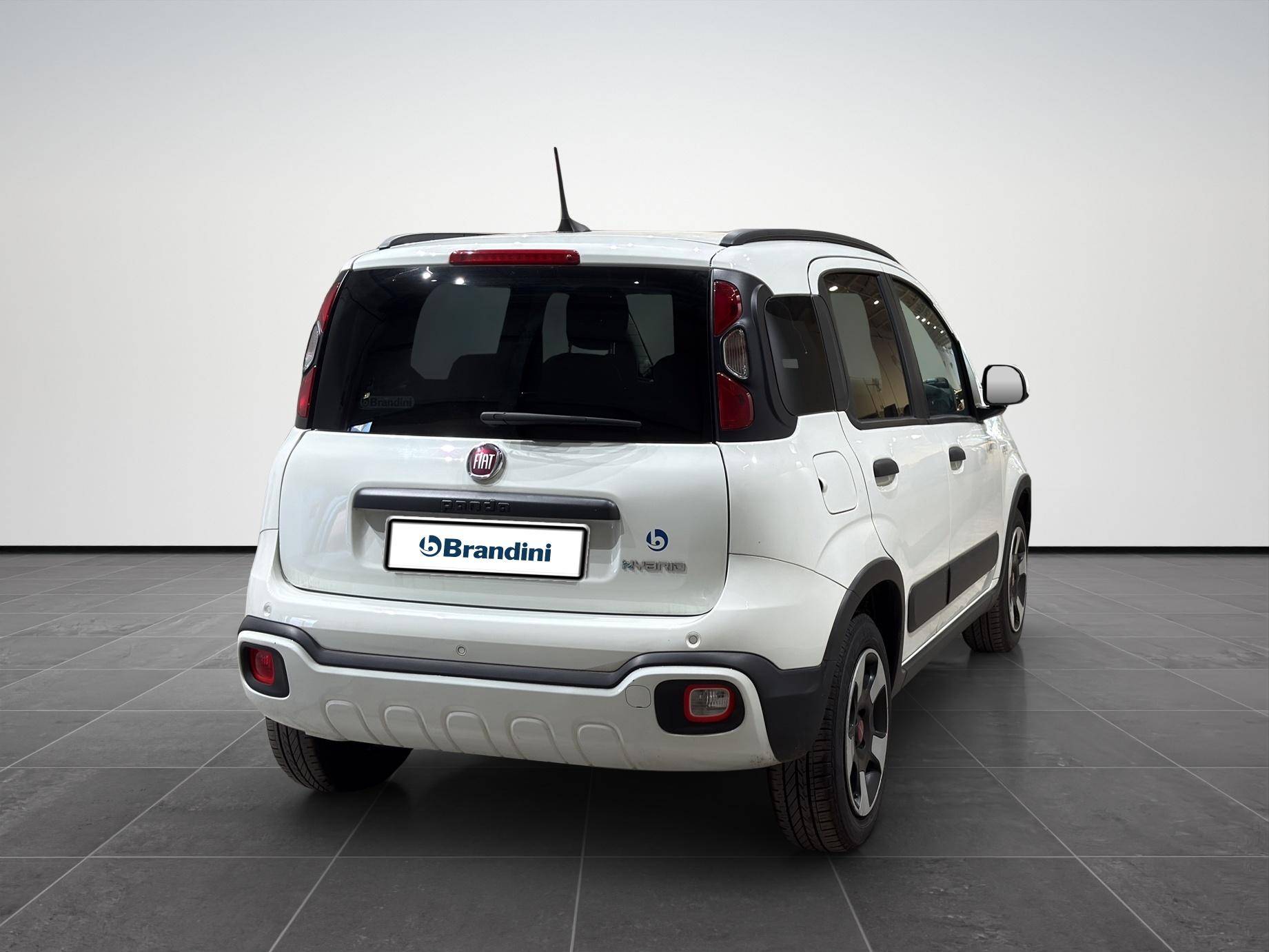 FIAT Panda Panda 1.0 firefly hybrid Cross s&s 70cv 5p.ti usata in pronta consegna - Brandini