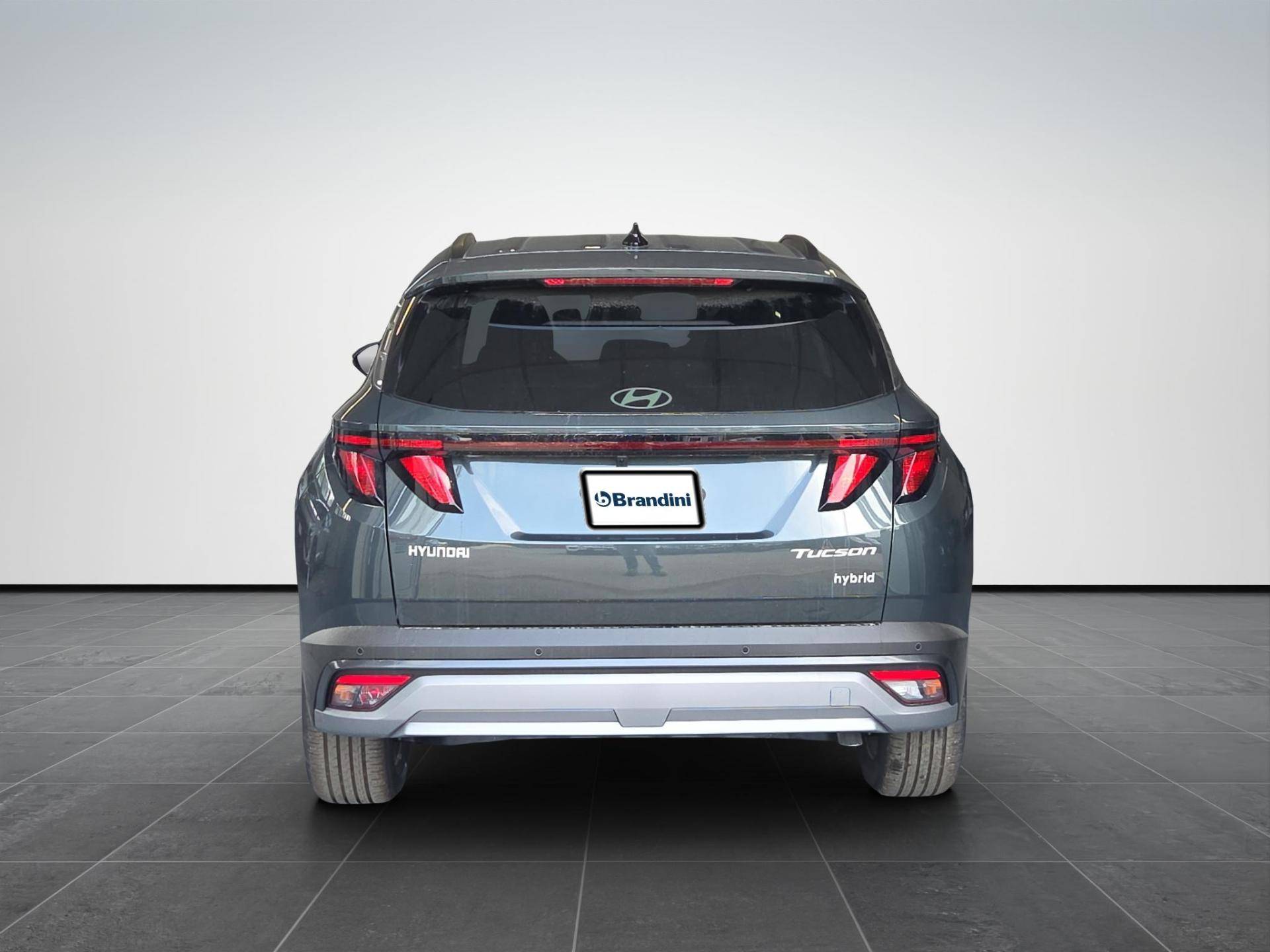 HYUNDAI Tucson Tucson 1.6 hev Business 2wd 239cv auto usata in pronta consegna - Brandini