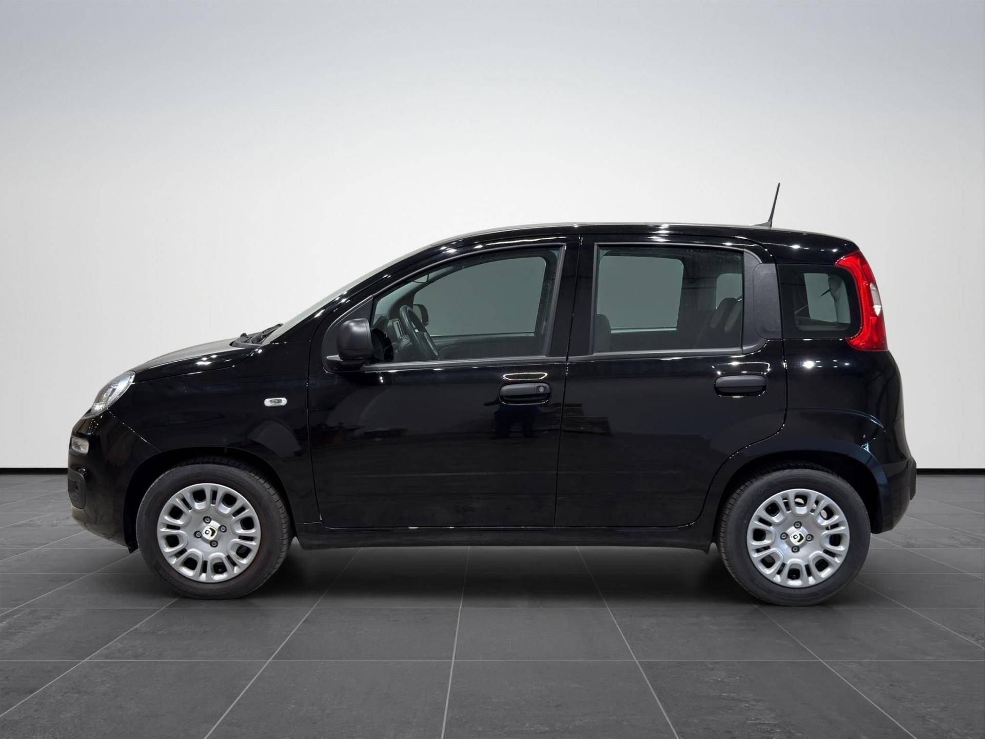 FIAT Panda Panda 1.0 firefly hybrid Icon s&s 70cv 5p.ti usata in pronta consegna - Brandini