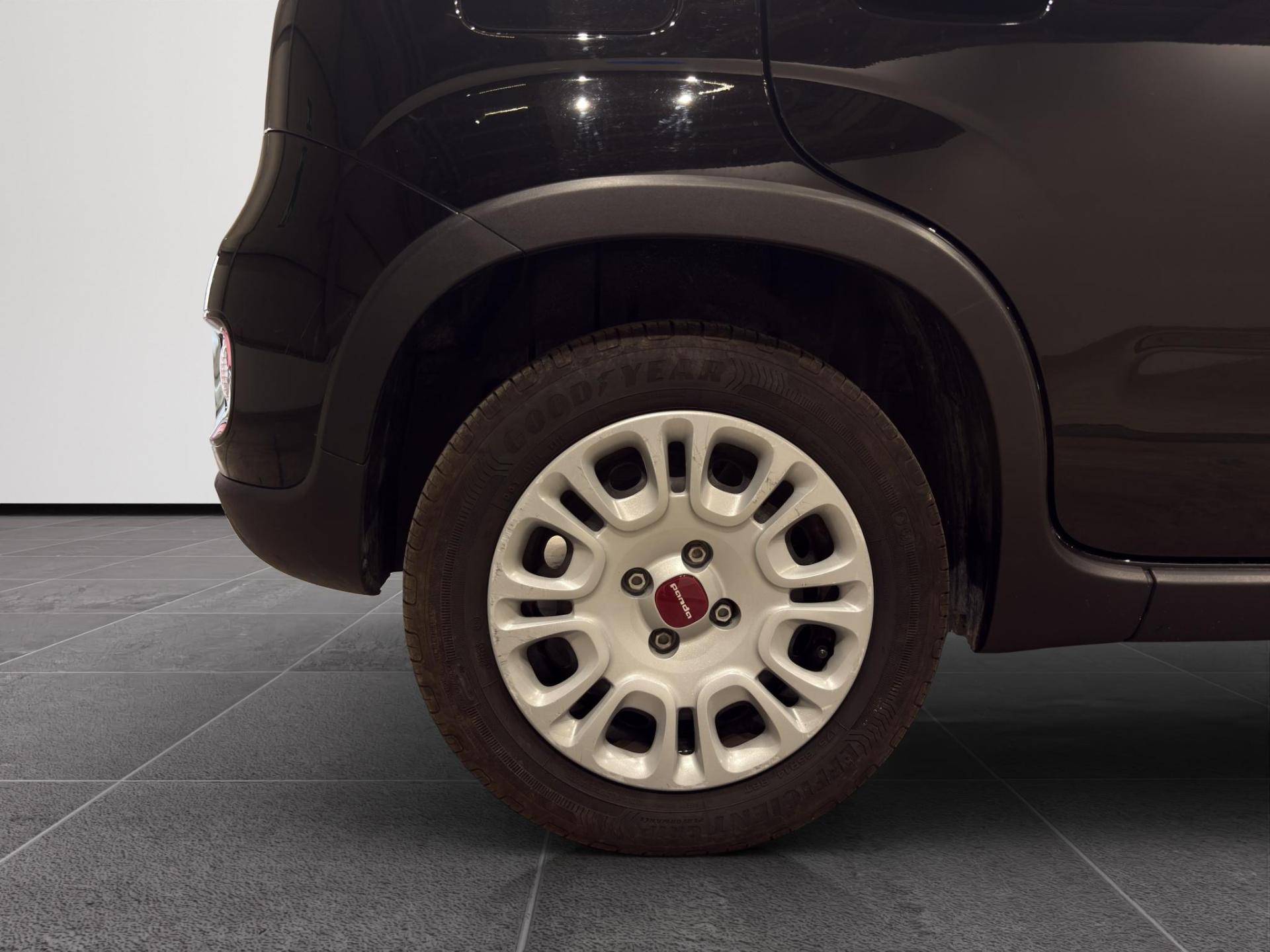 FIAT Panda Panda 1.0 firefly hybrid s&s 70cv usata in pronta consegna - Brandini