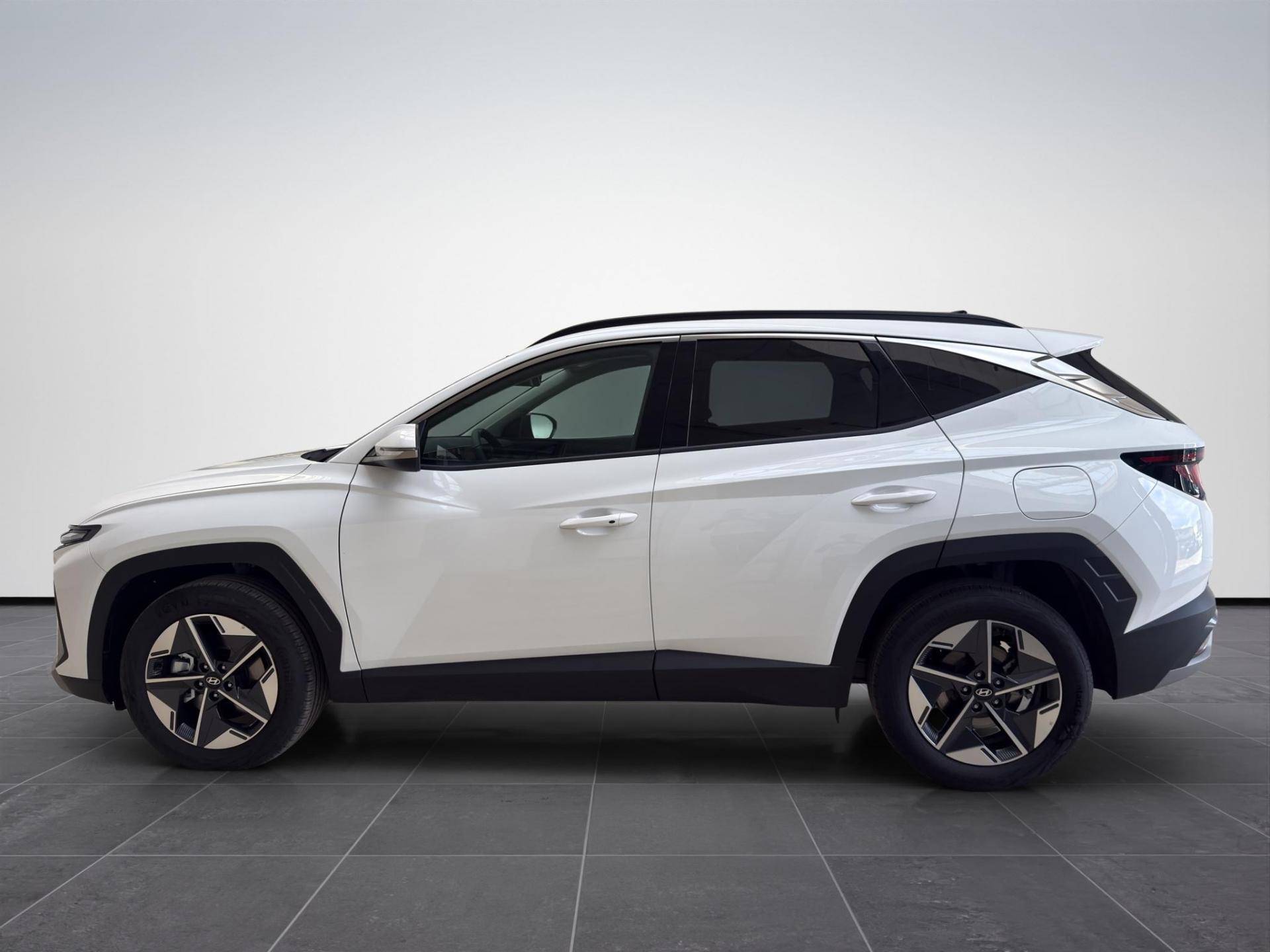 HYUNDAI Tucson Tucson 1.6 crdi 48V Business 2wd dct usata in pronta consegna - Brandini