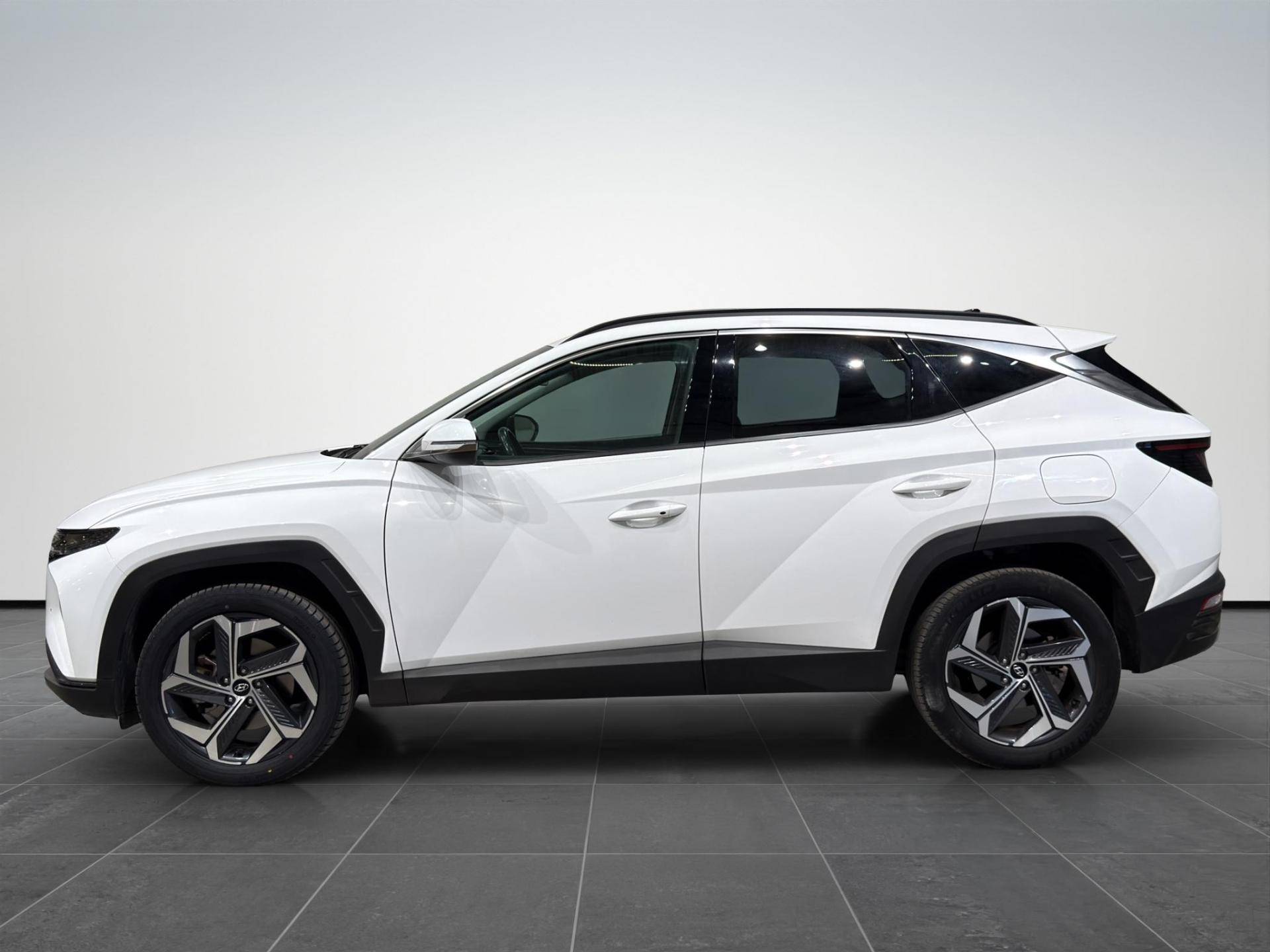 HYUNDAI Tucson Tucson 1.6 hev Exellence 2wd auto usata in pronta consegna - Brandini