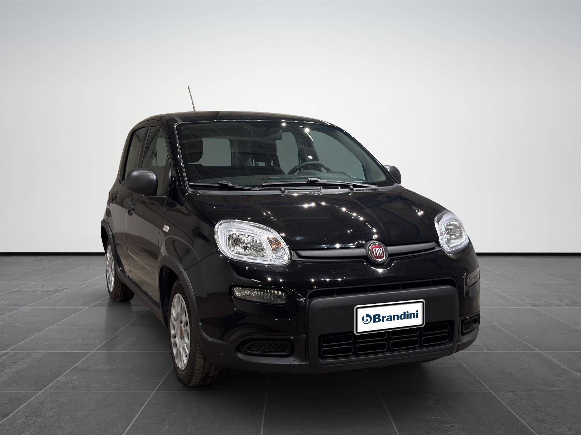 FIAT Panda Panda 1.0 firefly hybrid s&s 70cv usata in pronta consegna - Brandini
