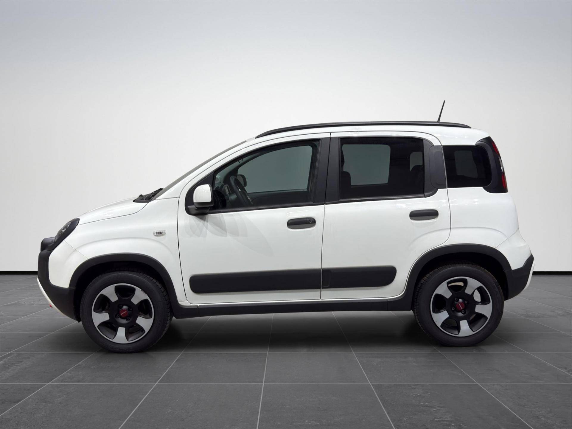 FIAT Panda Panda 1.0 firefly hybrid Cross s&s 70cv 5p.ti usata in pronta consegna - Brandini