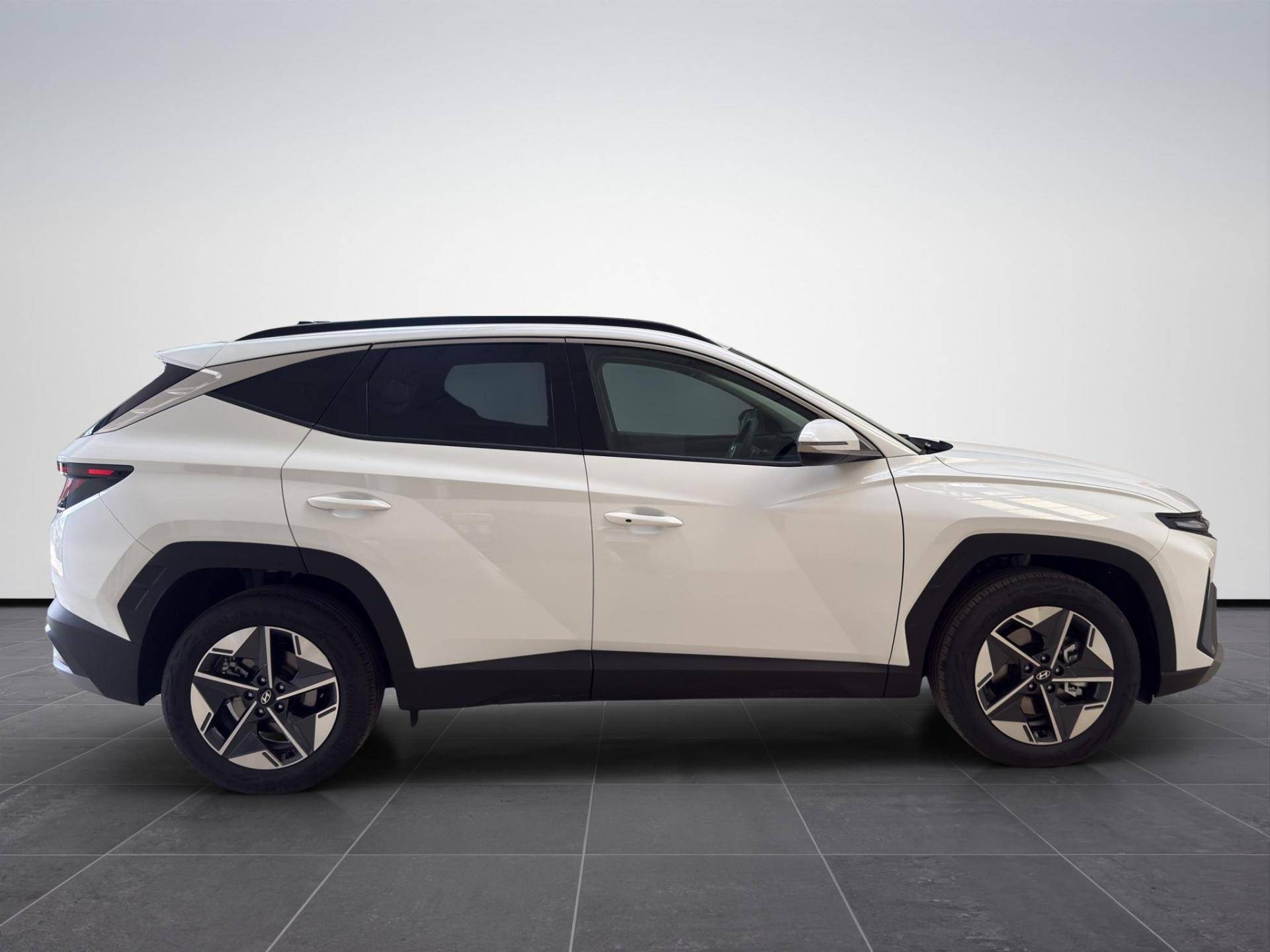 HYUNDAI Tucson Tucson 1.6 crdi 48V Business 2wd dct usata in pronta consegna - Brandini