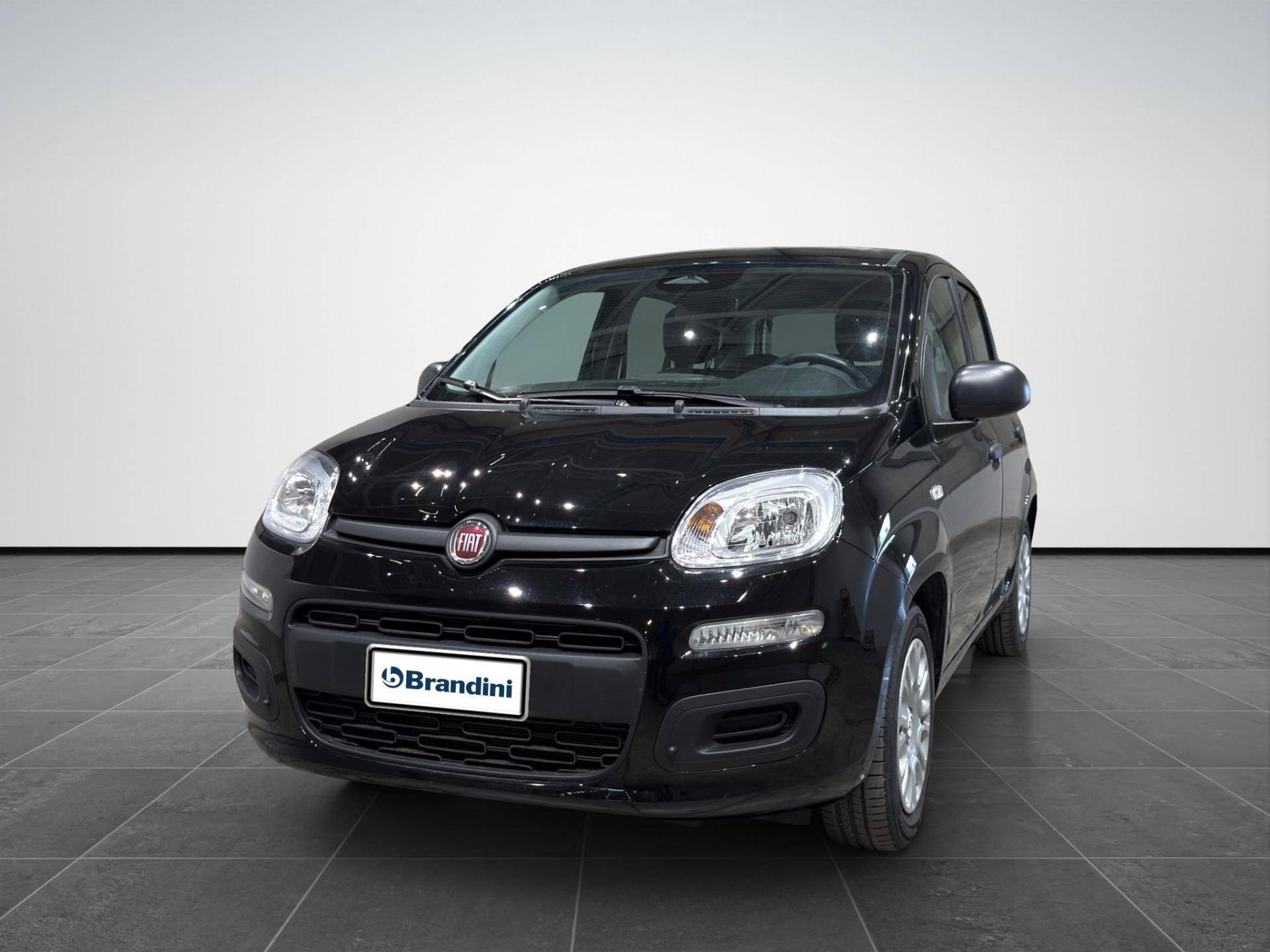 FIAT Panda Panda 1.0 firefly hybrid Icon s&s 70cv 5p.ti usata in pronta consegna - Brandini