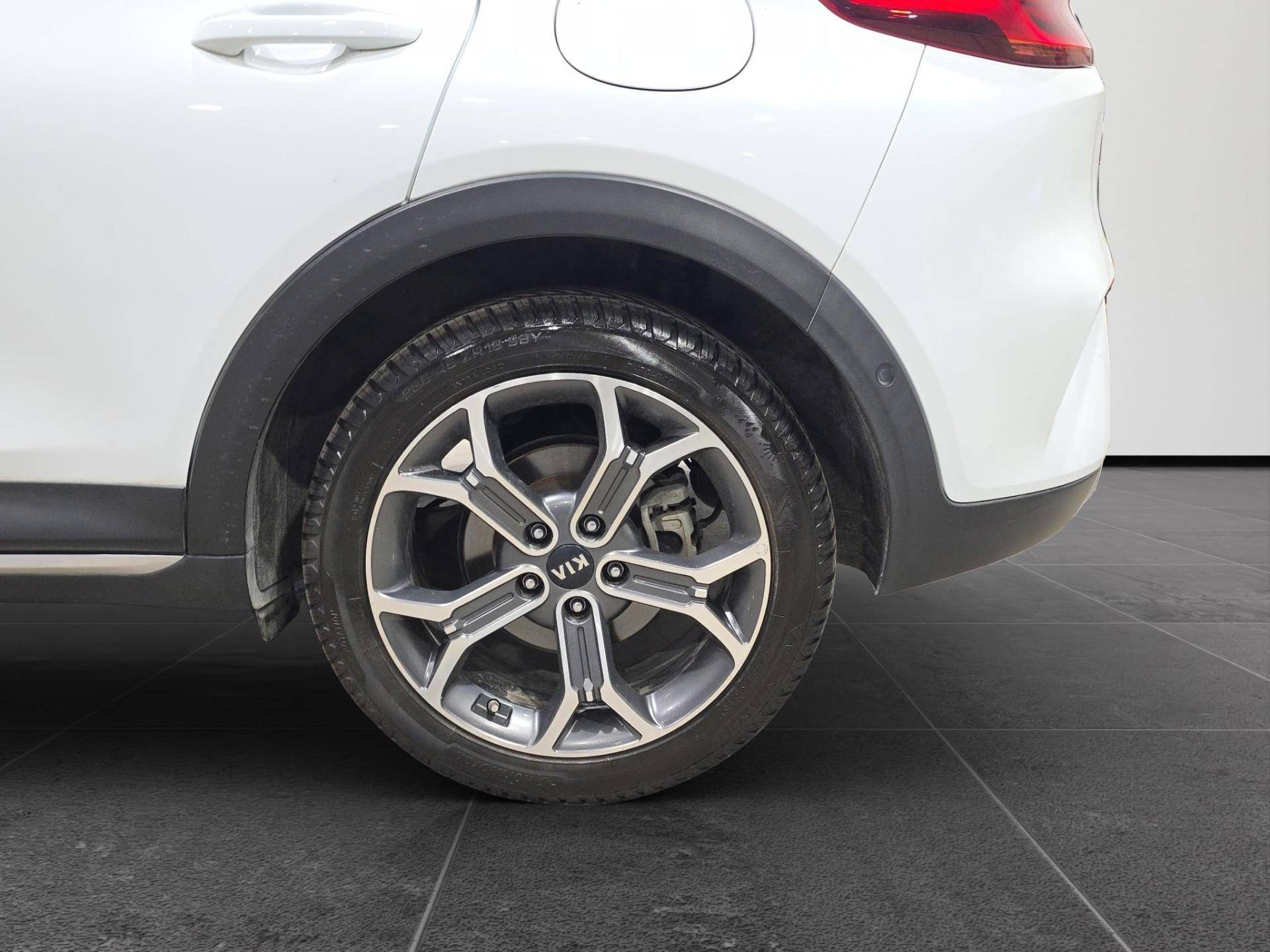 KIA XCeed Xceed 1.6 crdi mhev Style 136cv imt usata in pronta consegna - Brandini