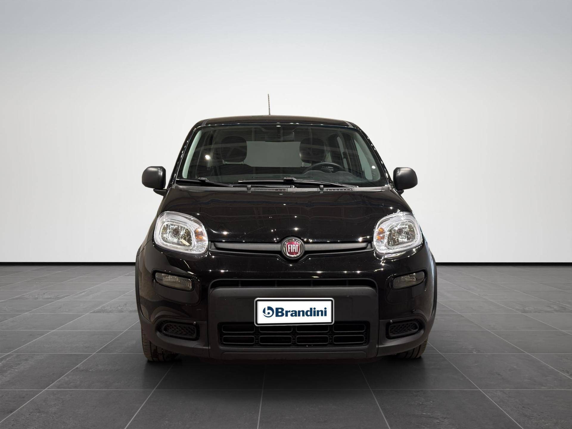 FIAT Panda Panda 1.0 firefly hybrid s&s 70cv usata in pronta consegna - Brandini