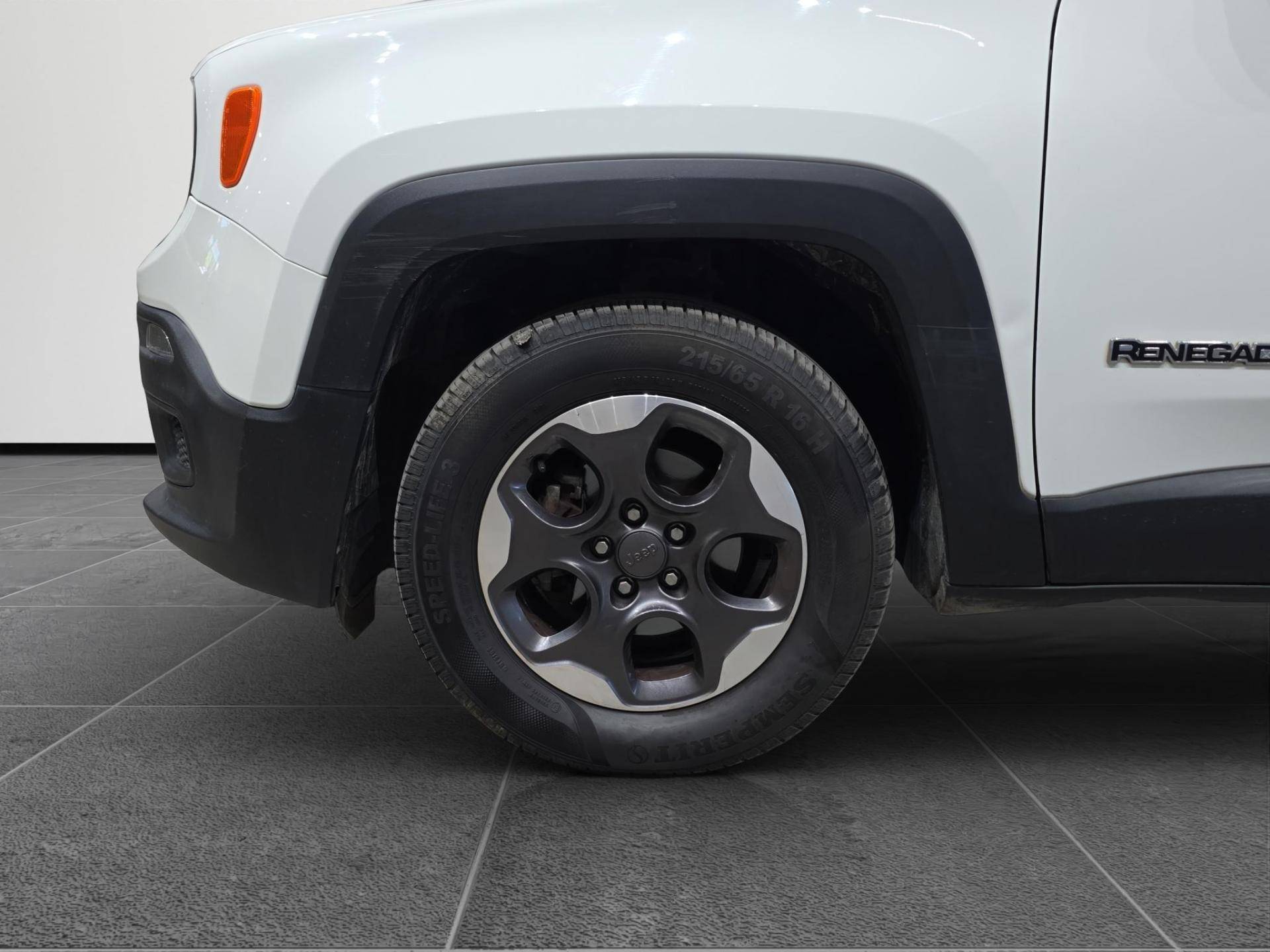 Auto Venduta - JEEP Renegade Renegade 1.6 mjt Sport fwd 95cv usata in pronta consegna - Brandini