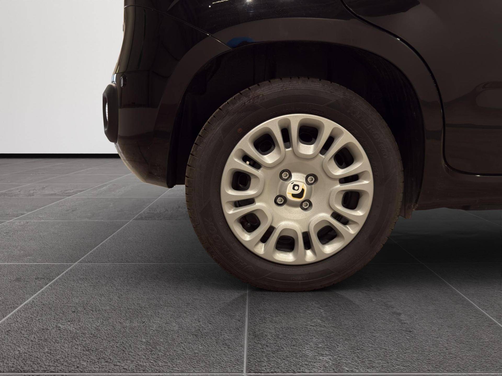 FIAT Panda Panda 1.0 firefly hybrid Icon s&s 70cv 5p.ti usata in pronta consegna - Brandini