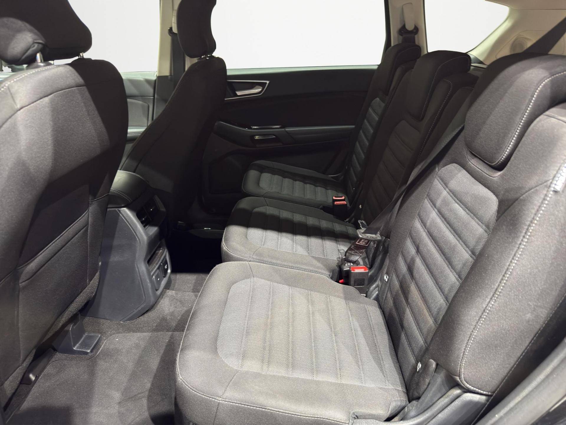 FORD S-Max S-Max 2.0 ecoblue Titanium Business s&s 150cv my20 usata in pronta consegna - Brandini