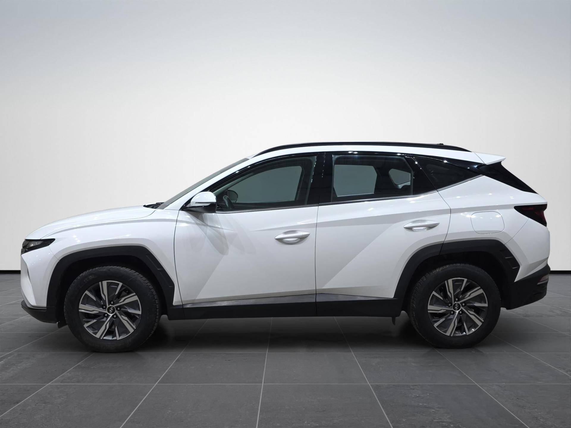 HYUNDAI Tucson Tucson 1.6 crdi Xline 2wd usata in pronta consegna - Brandini
