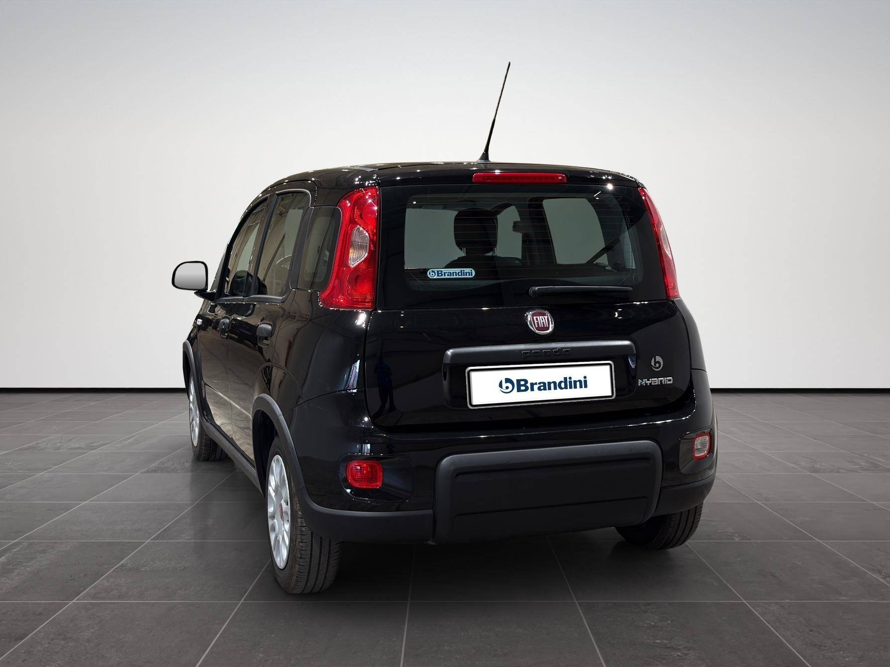 FIAT Panda Panda 1.0 firefly hybrid s&s 70cv usata in pronta consegna - Brandini