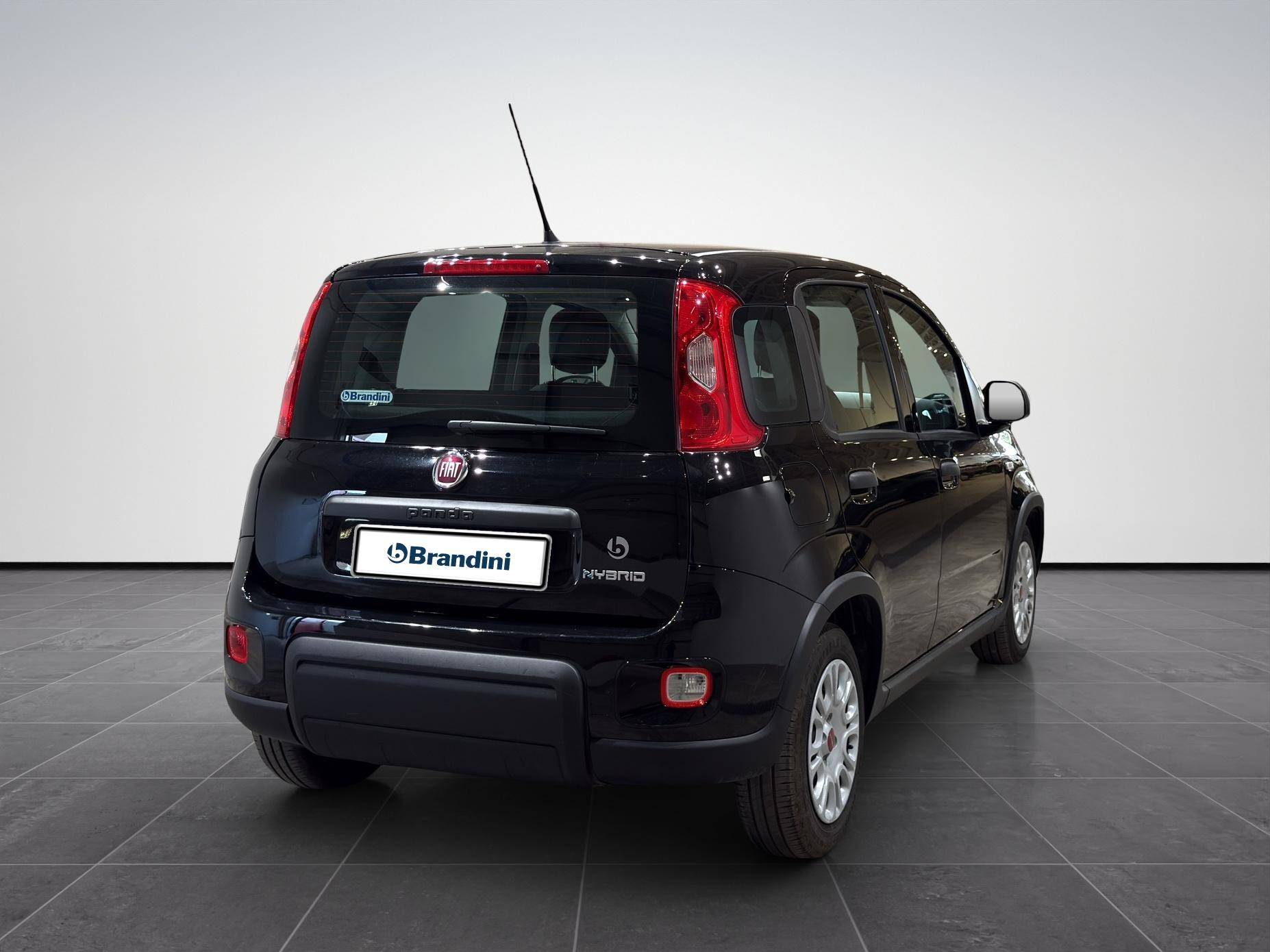 FIAT Panda Panda 1.0 firefly hybrid s&s 70cv usata in pronta consegna - Brandini