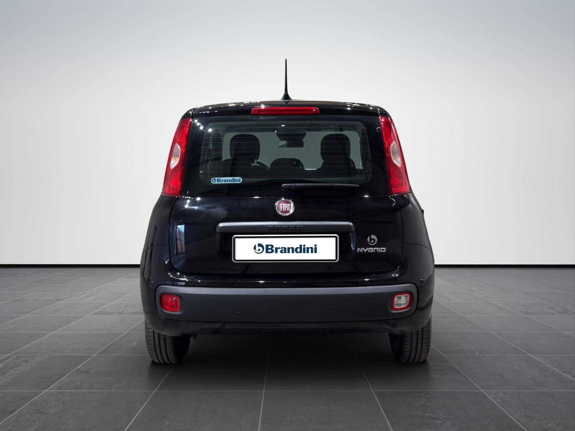 FIAT Panda Panda 1.0 firefly hybrid Icon s&s 70cv 5p.ti usata in pronta consegna - Brandini