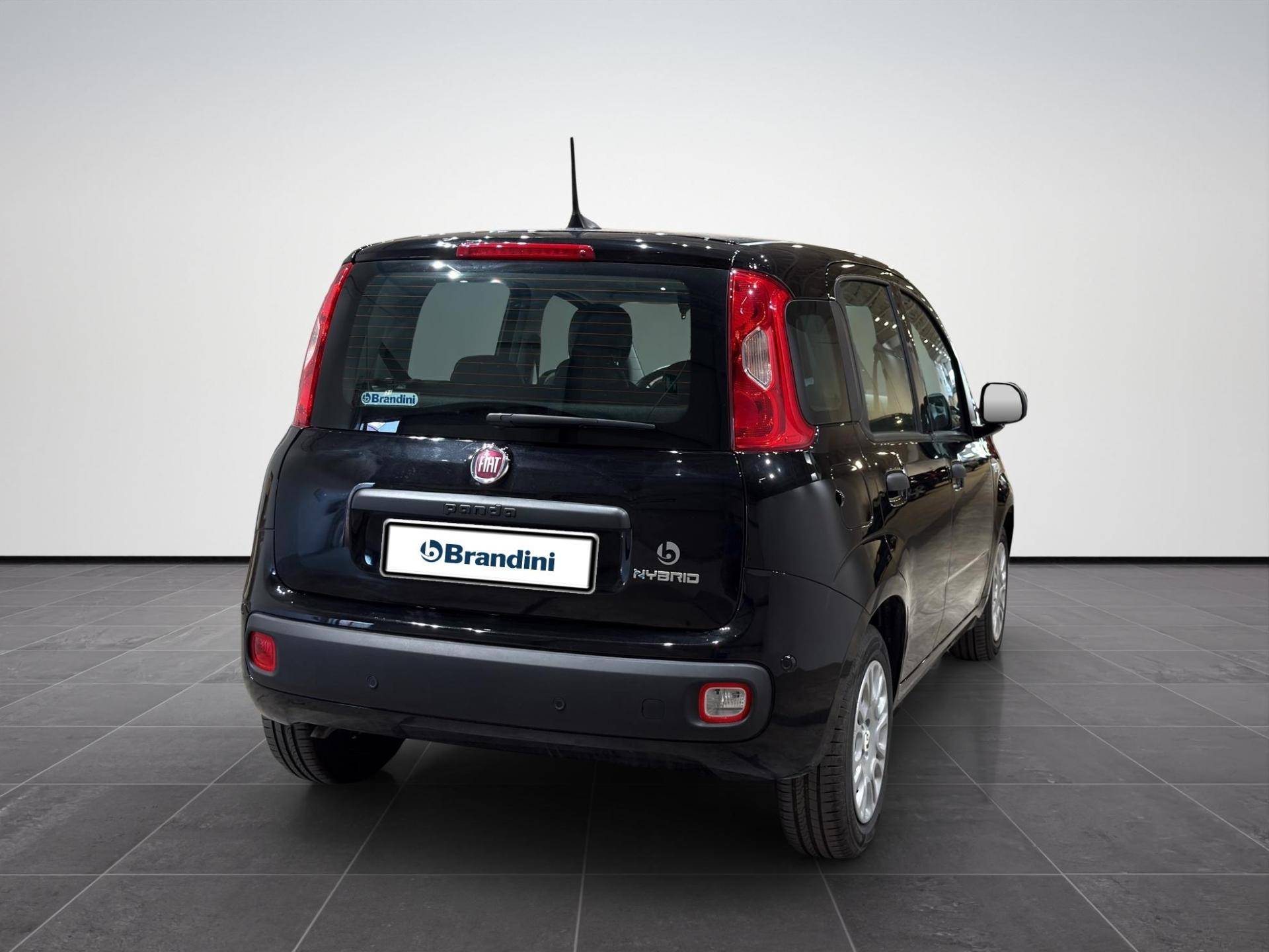 FIAT Panda Panda 1.0 firefly hybrid Icon s&s 70cv 5p.ti usata in pronta consegna - Brandini