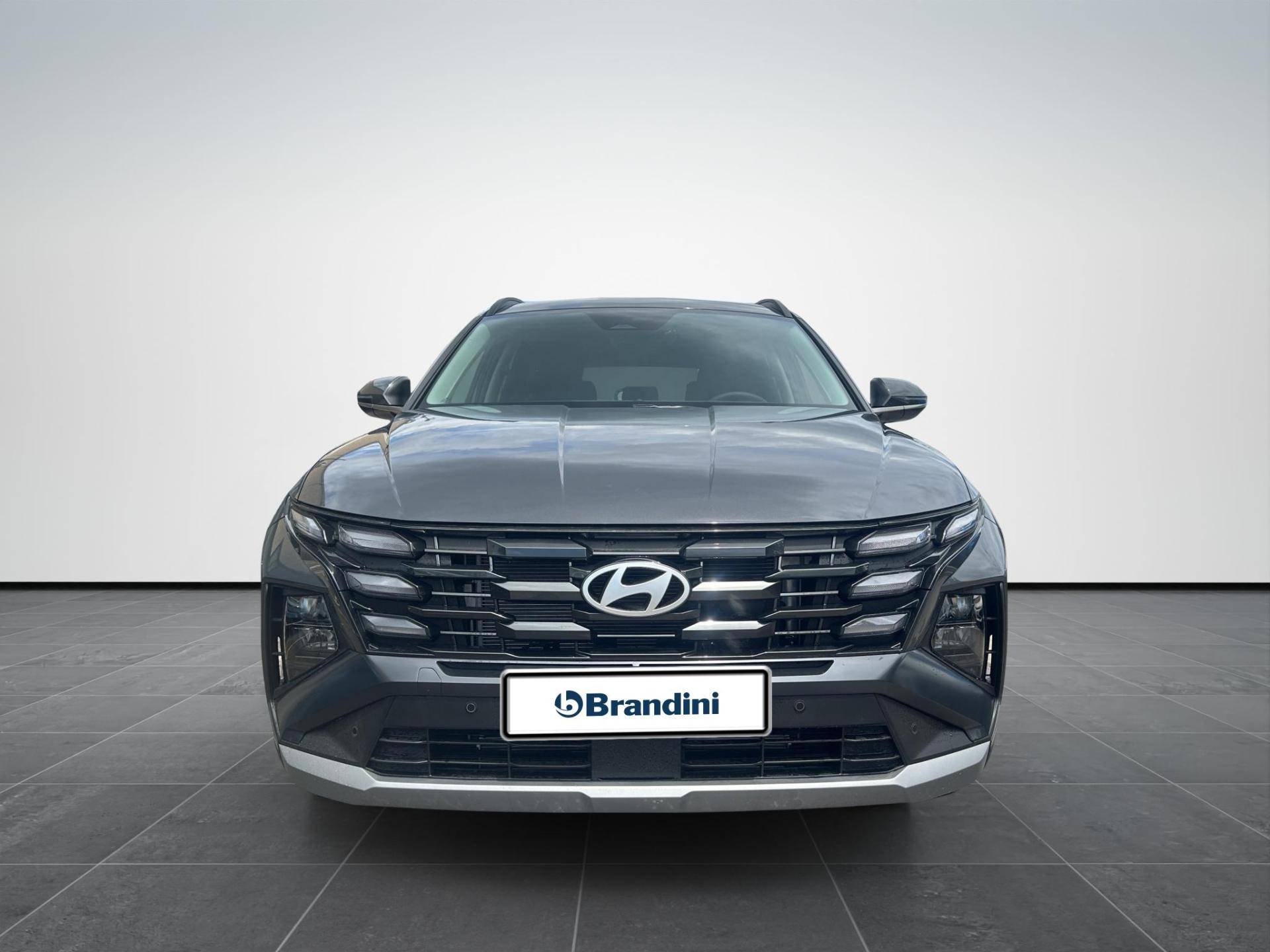 HYUNDAI Tucson Tucson 1.6 hev Business 2wd 239cv auto usata in pronta consegna - Brandini