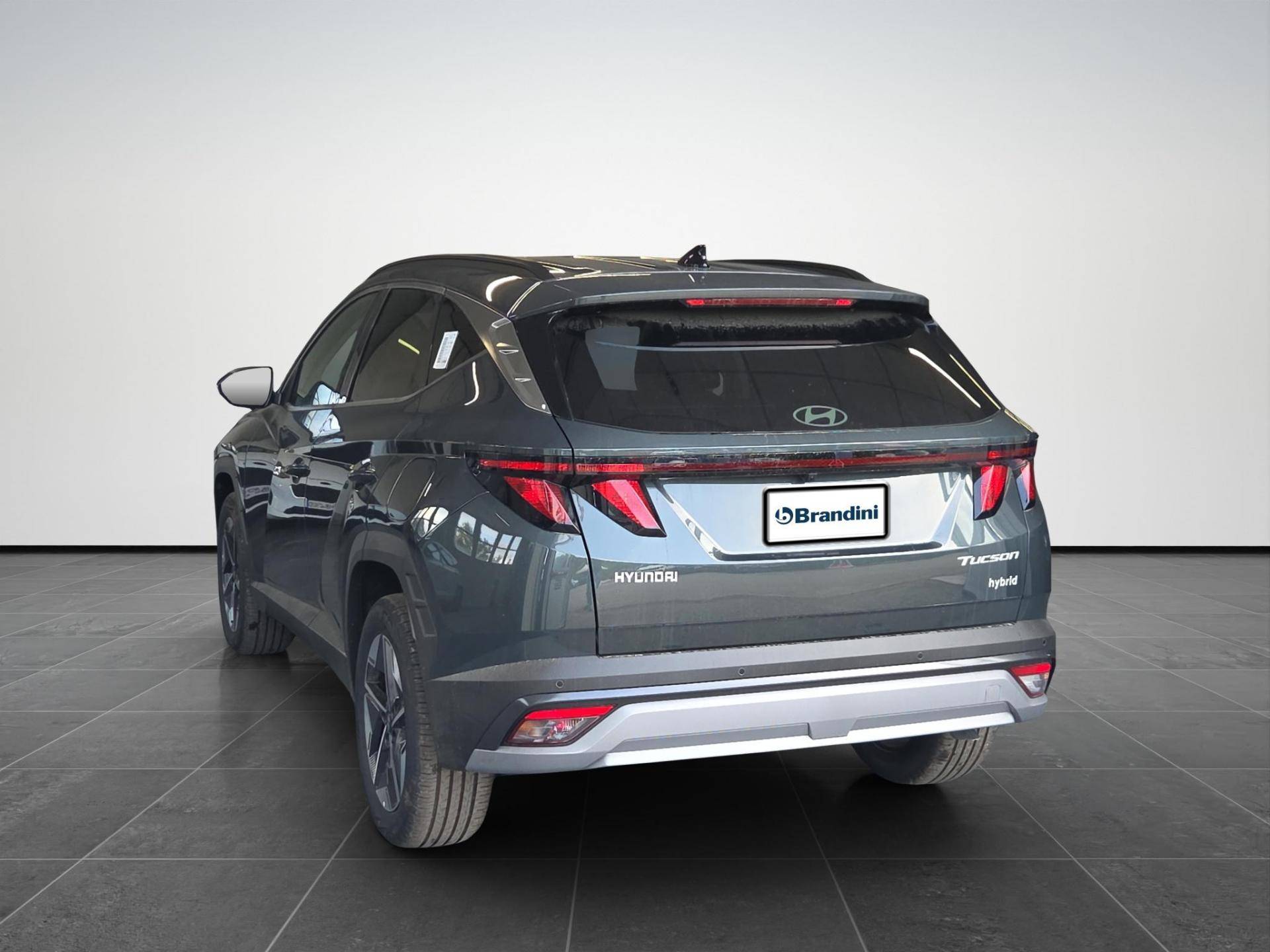 HYUNDAI Tucson Tucson 1.6 hev Business 2wd 239cv auto usata in pronta consegna - Brandini