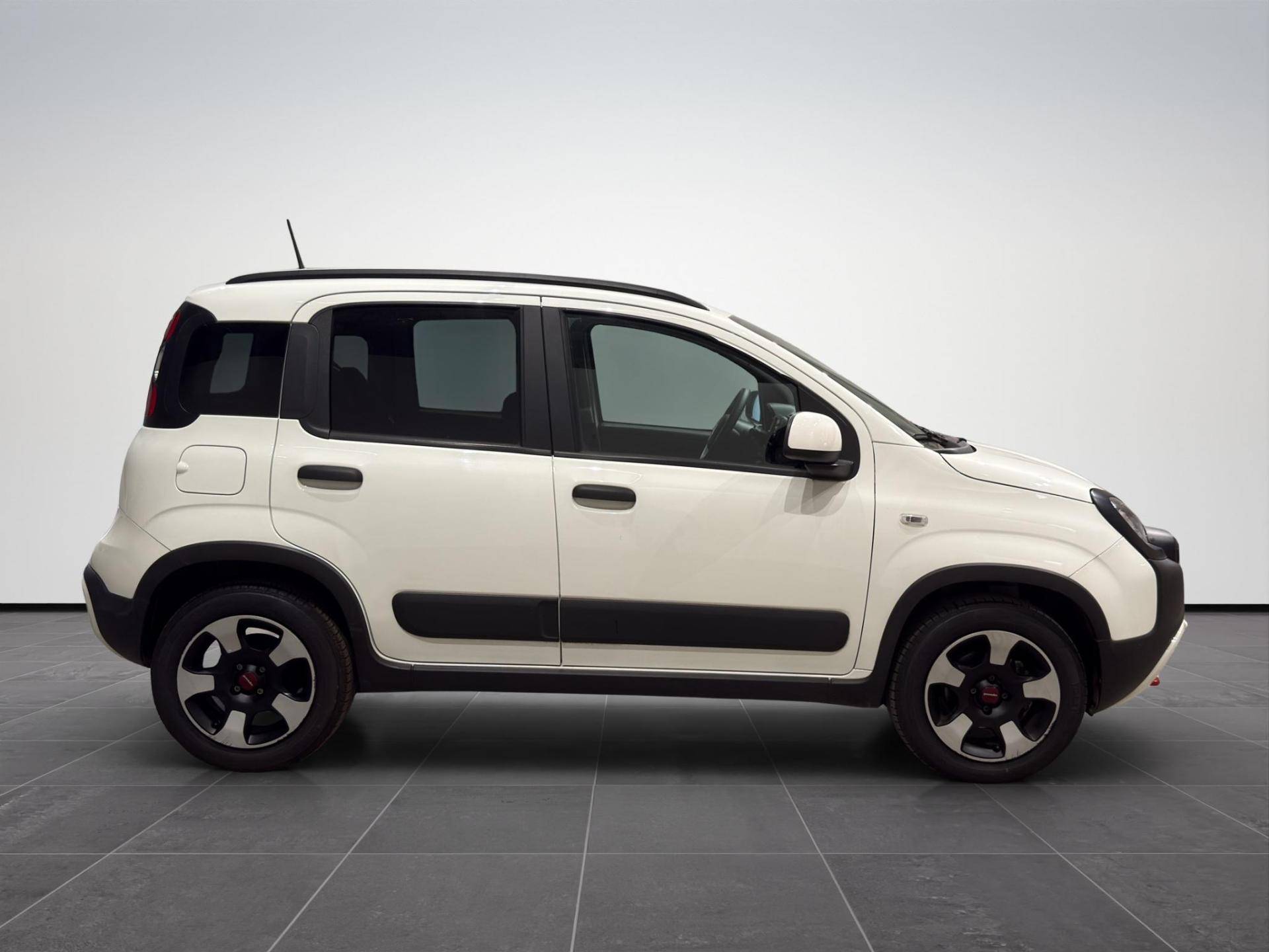 FIAT Panda Panda 1.0 firefly hybrid Cross s&s 70cv 5p.ti usata in pronta consegna - Brandini