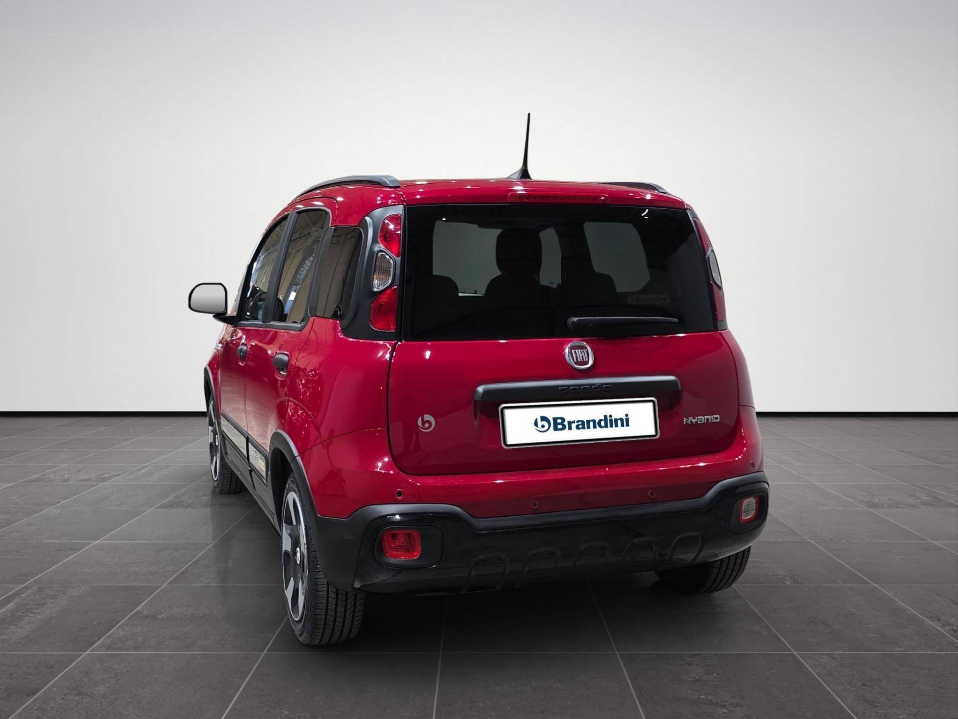 FIAT Panda Pandina 1.0 firefly hybrid s&s 70cv usata in pronta consegna - Brandini