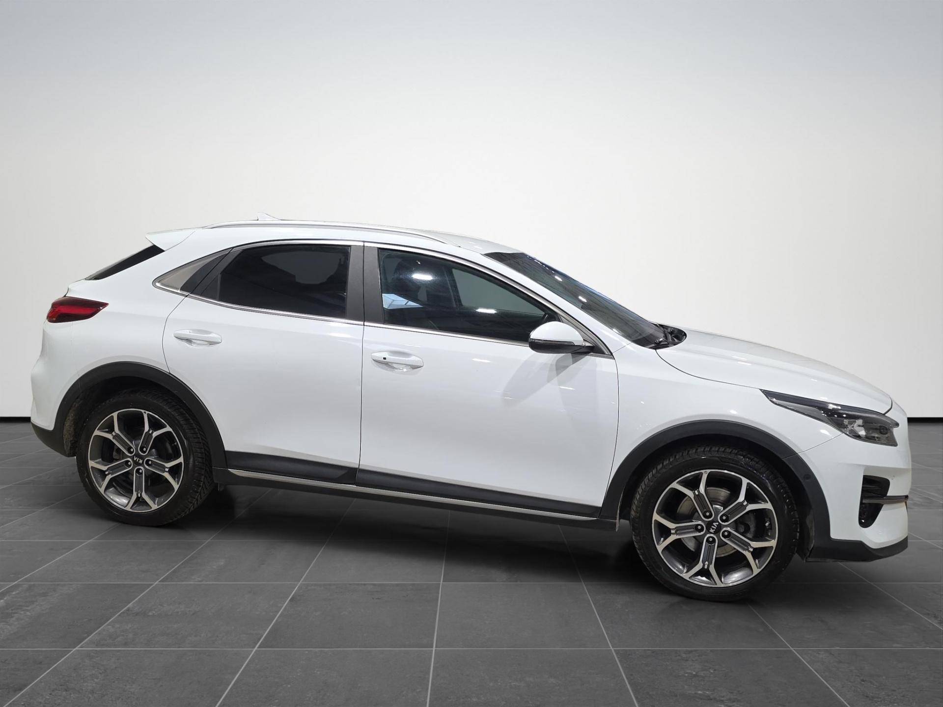 KIA XCeed Xceed 1.6 crdi mhev Style 136cv imt usata in pronta consegna - Brandini