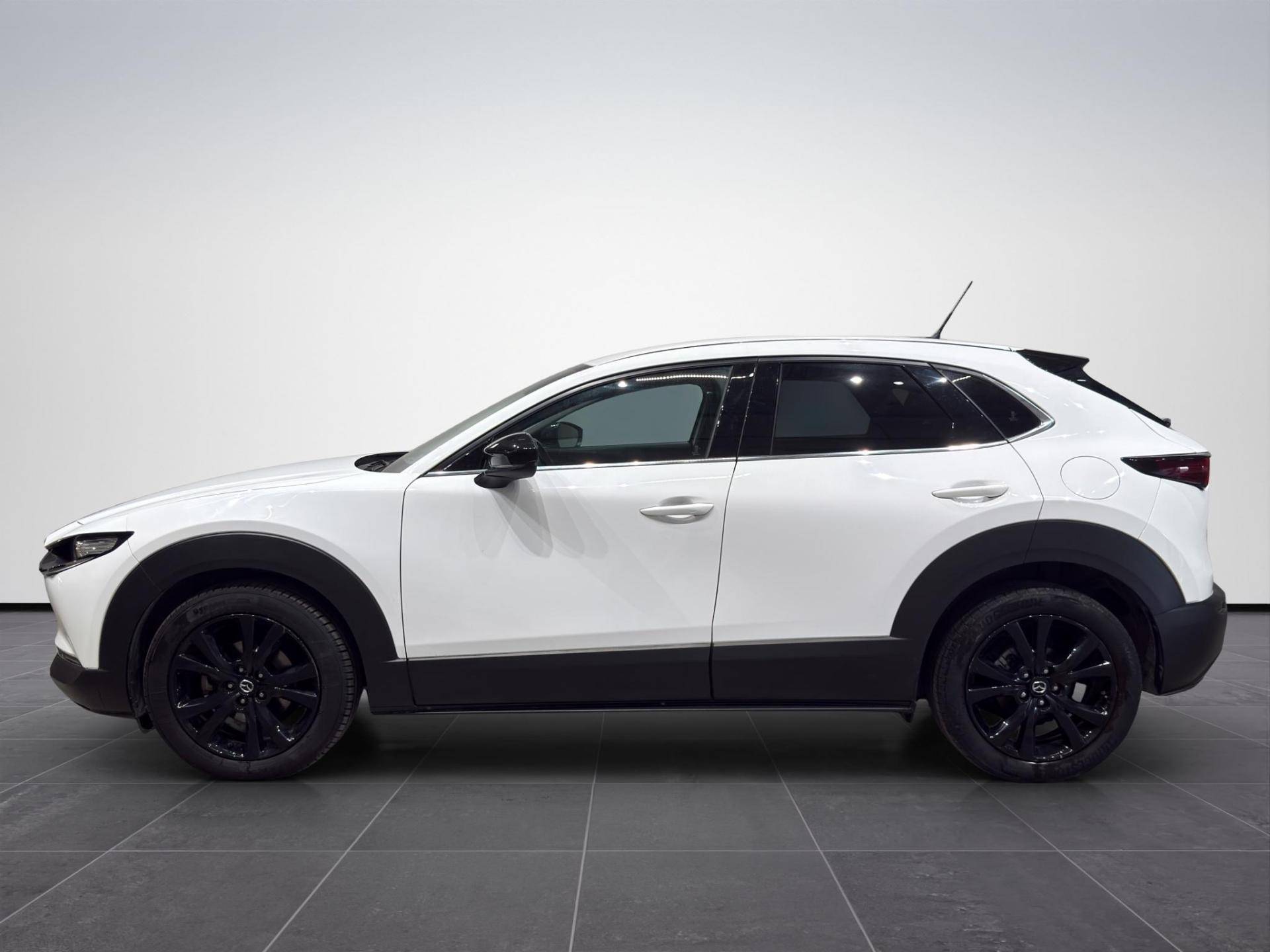 MAZDA CX-30 CX-30 2.0 m-hybrid Homura 2wd 150cv 6at usata in pronta consegna - Brandini