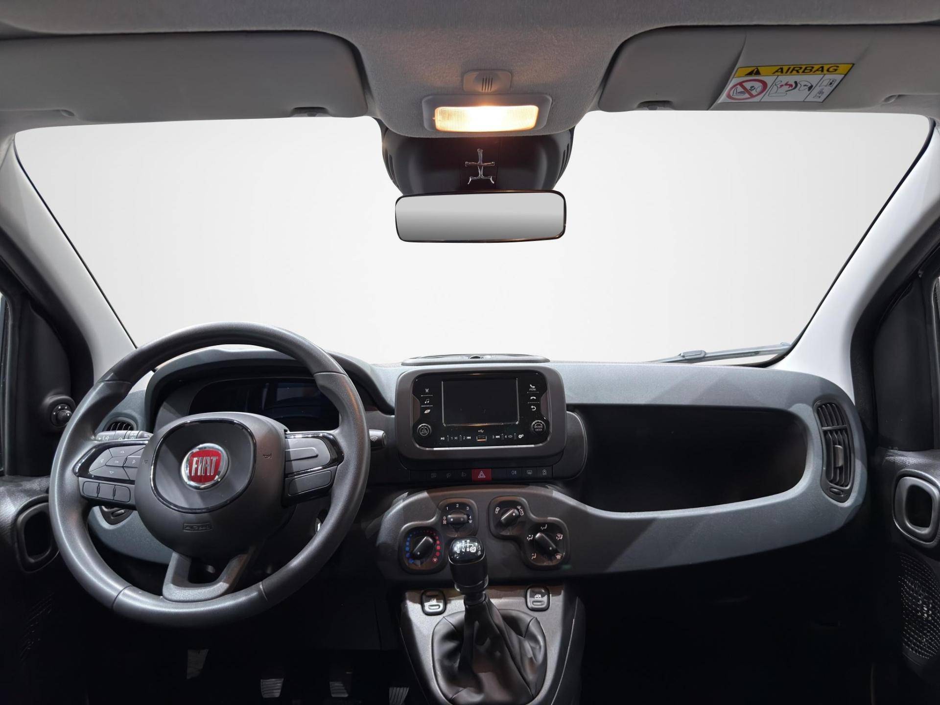 FIAT Panda Panda 1.0 firefly hybrid Icon s&s 70cv 5p.ti usata in pronta consegna - Brandini